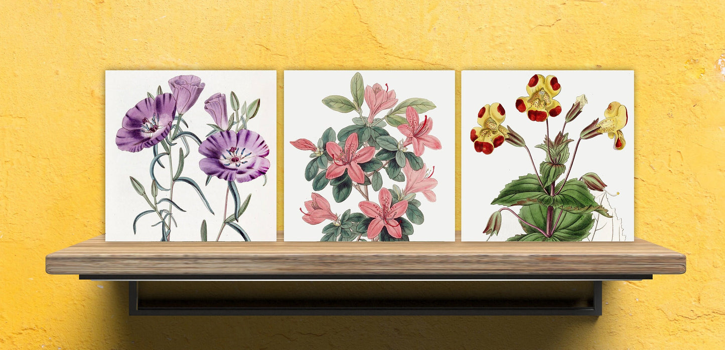 Vintage Botanical Print Ceramic Tiles - Set of 3 Ceramic Decor Tiles - Kitchen Backsplash Tiles, Bathroom Tiles, Botanical wall art