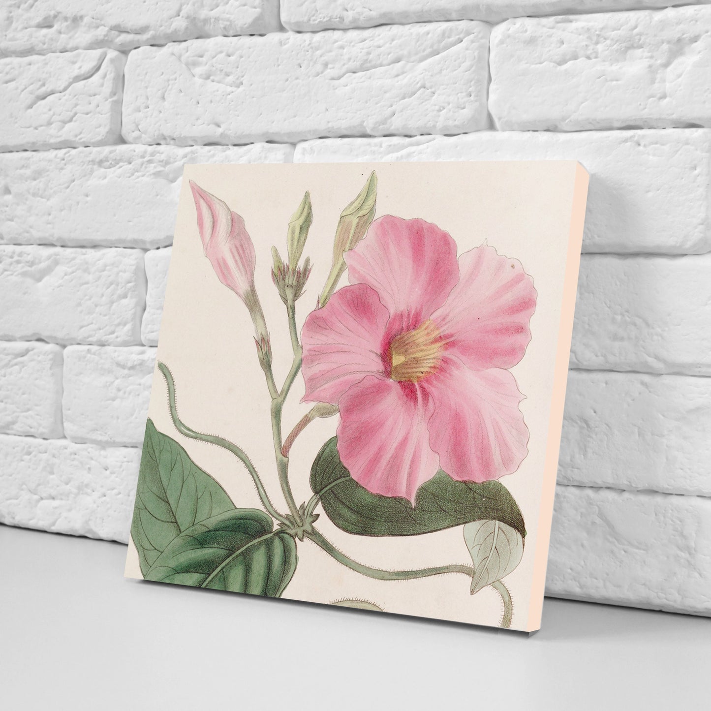 Vintage Botanical Print Ceramic Tiles - Set of 3 Ceramic Decor Tiles - Kitchen Backsplash Tiles, Bathroom Tiles, Botanical wall art