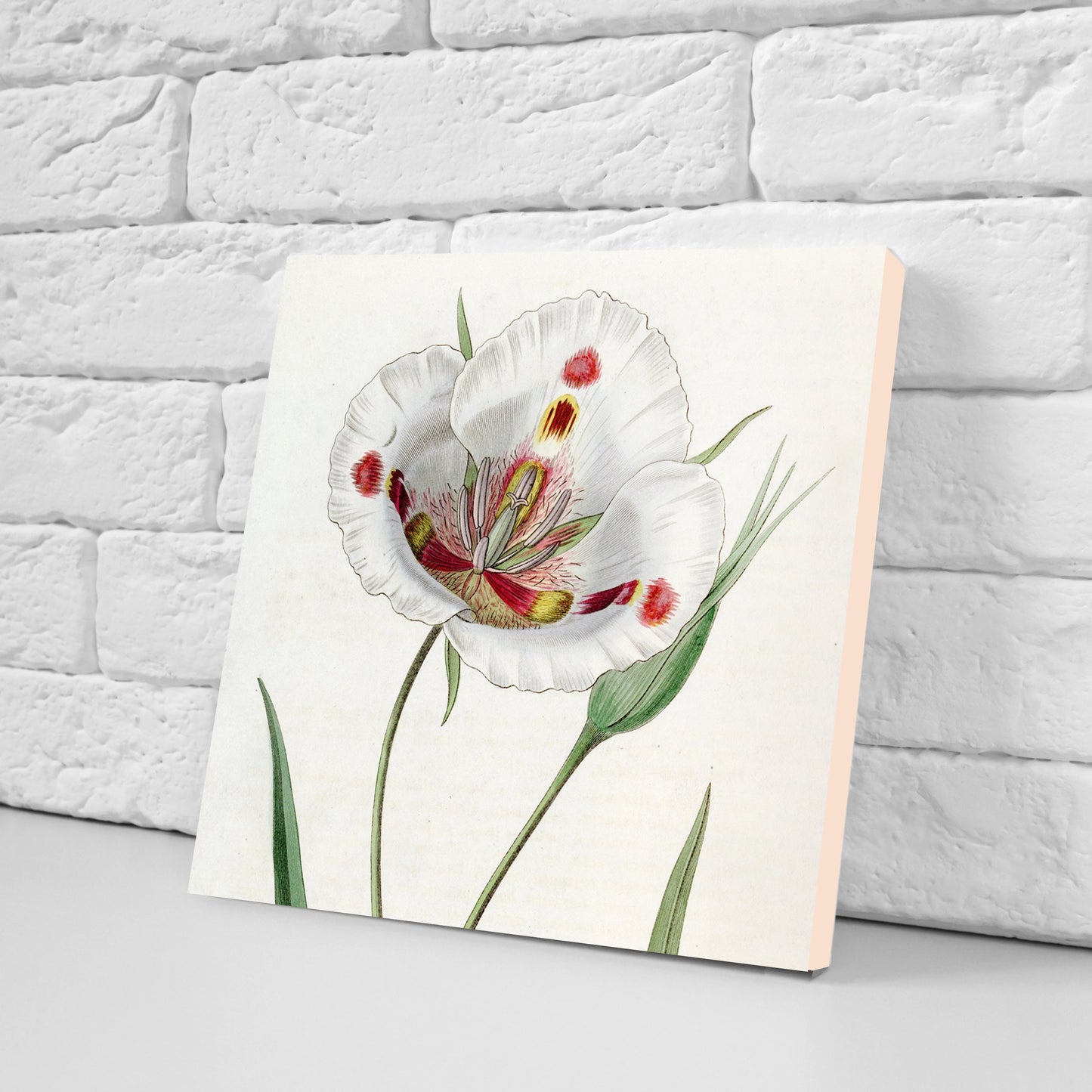 Vintage Botanical Print Ceramic Tiles - Set of 3 Ceramic Decor Tiles - Kitchen Backsplash Tiles, Bathroom Tiles, Botanical wall art