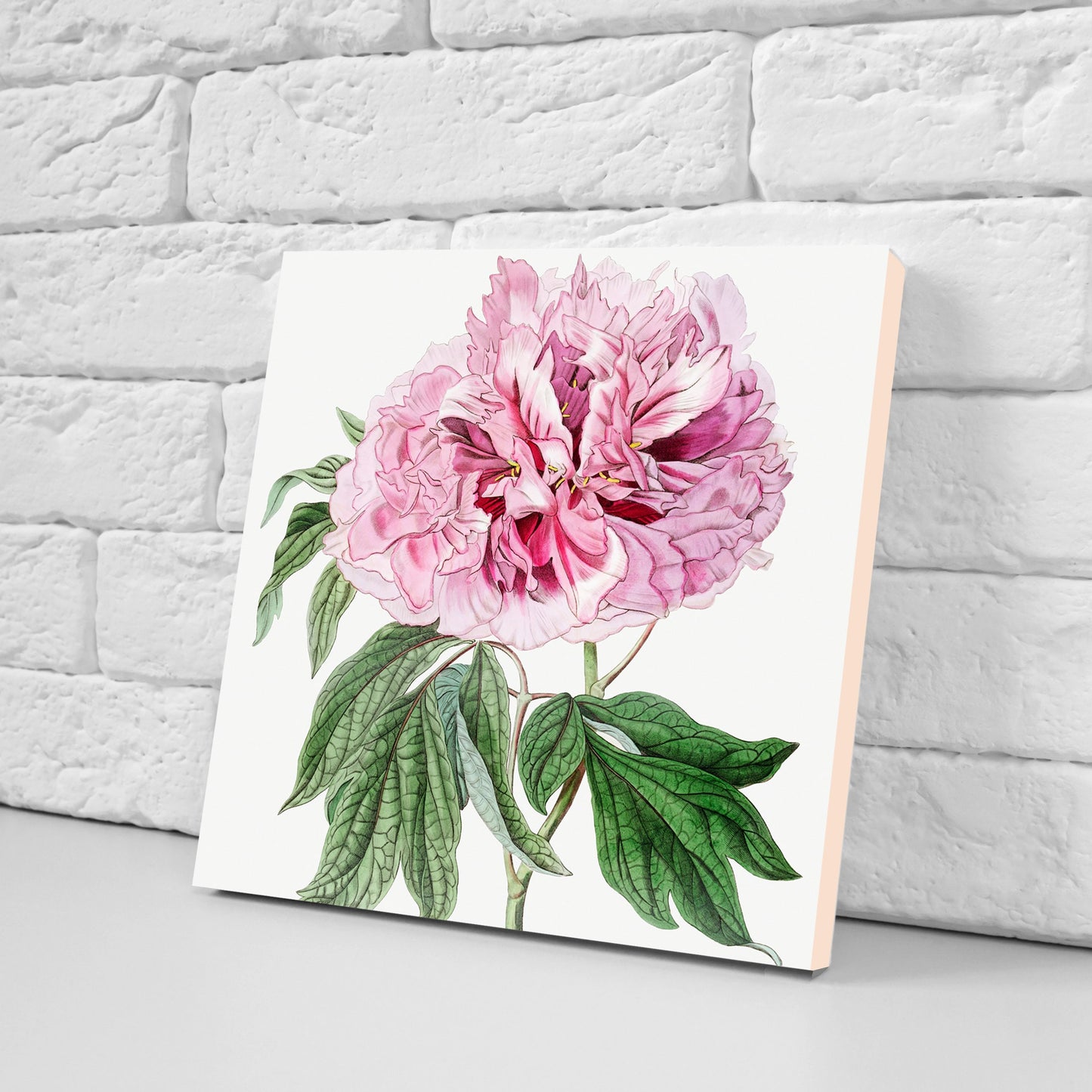 Vintage Botanical Print Ceramic Tiles - Set of 3 Ceramic Decor Tiles - Kitchen Backsplash Tiles, Bathroom Tiles, Botanical wall art