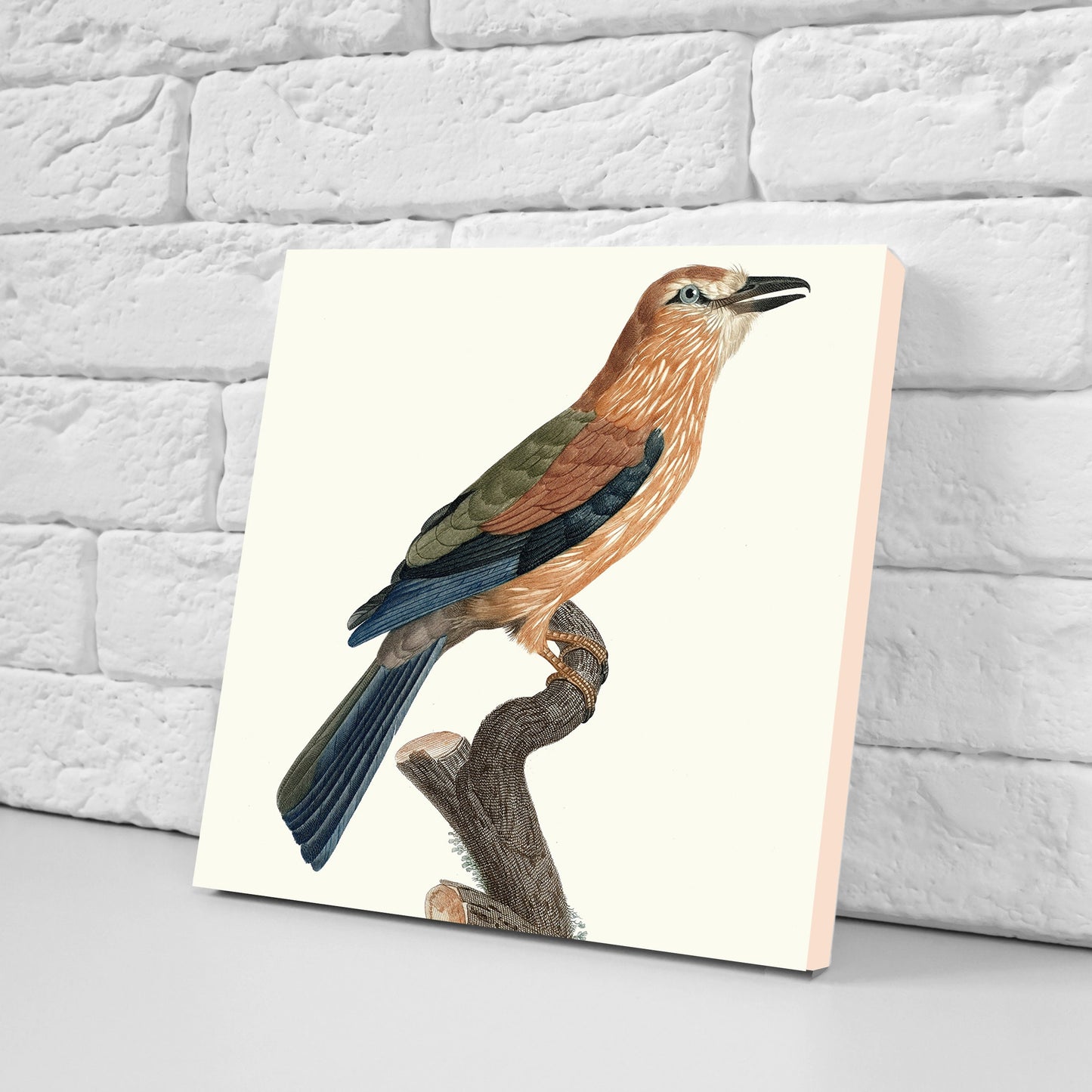 Vintage Bird Print Ceramic Tiles - Set of 3 Ceramic Decor Tiles - Kitchen Tiles, Bathroom Tiles, Botanical wall art, Bird illustration
