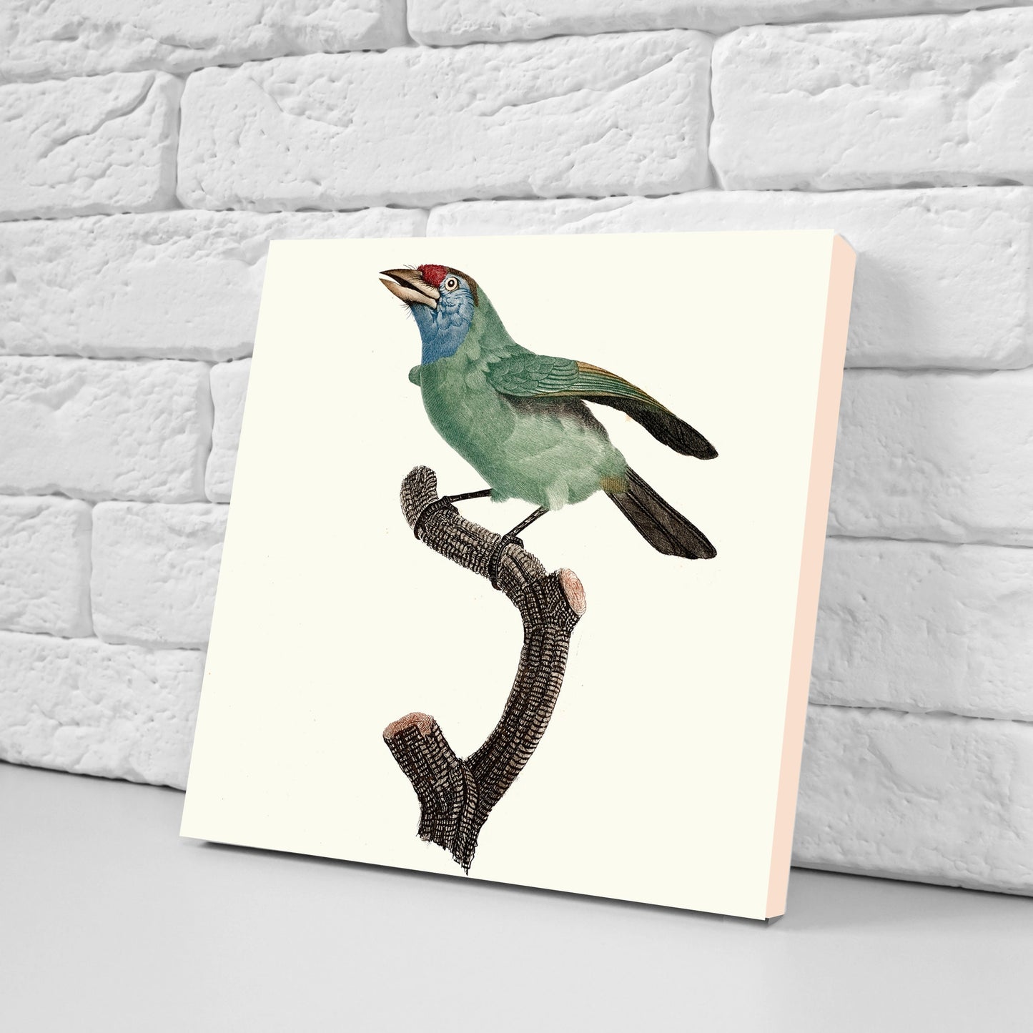 Vintage Bird Print Ceramic Tiles - Set of 3 Ceramic Decor Tiles - Kitchen Tiles, Bathroom Tiles, Botanical wall art, Bird illustration