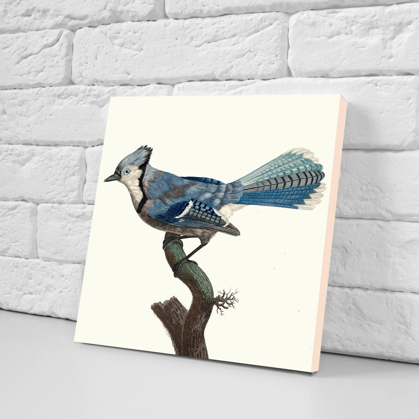 Vintage Bird Print Ceramic Tiles - Set of 3 Ceramic Decor Tiles - Kitchen Tiles, Bathroom Tiles, Botanical wall art, Bird illustration