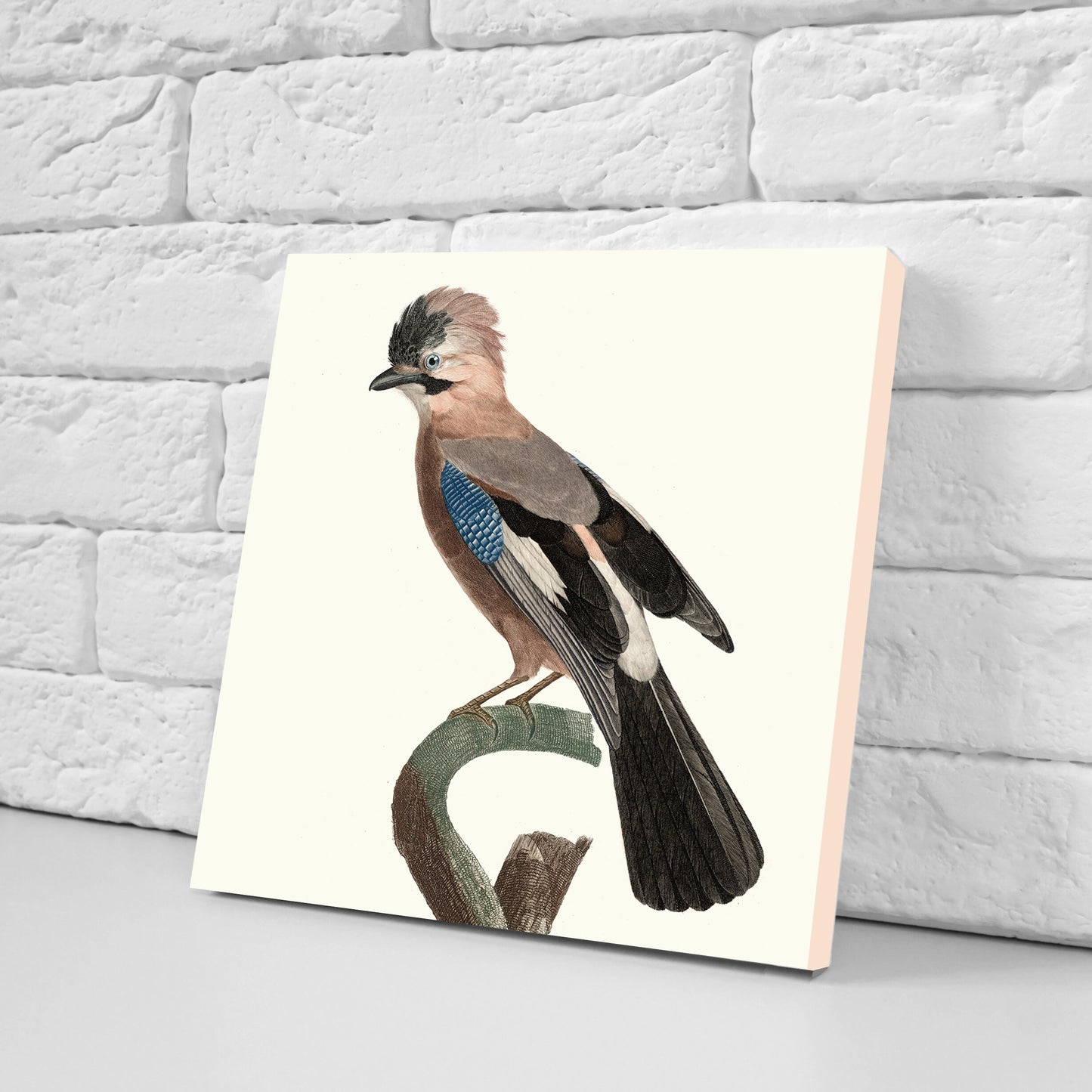 Vintage Bird Print Ceramic Tiles - Set of 3 Ceramic Decor Tiles - Kitchen Tiles, Bathroom Tiles, Botanical wall art, Bird illustration