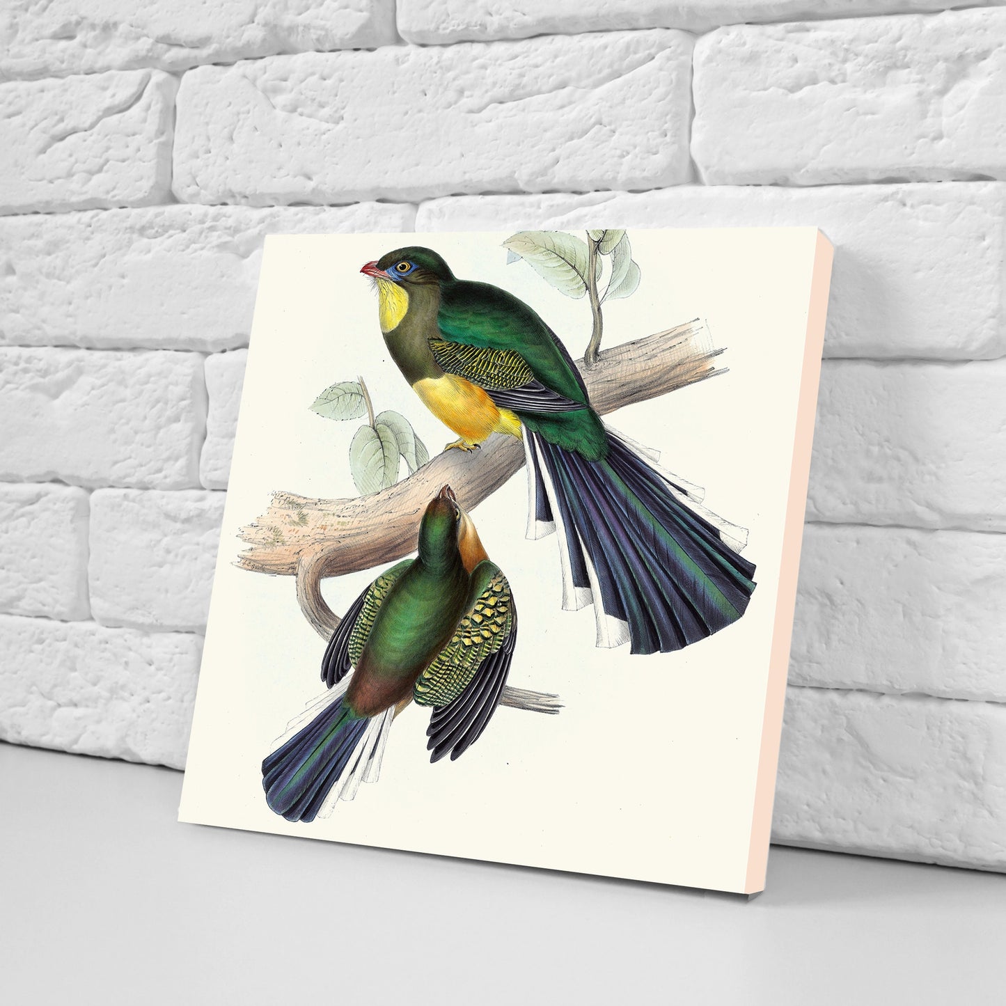 Vintage Bird Print Ceramic Tiles - Set of 3 Ceramic Decor Tiles - Kitchen Tiles, Bathroom Tiles, Botanical wall art, Bird illustration