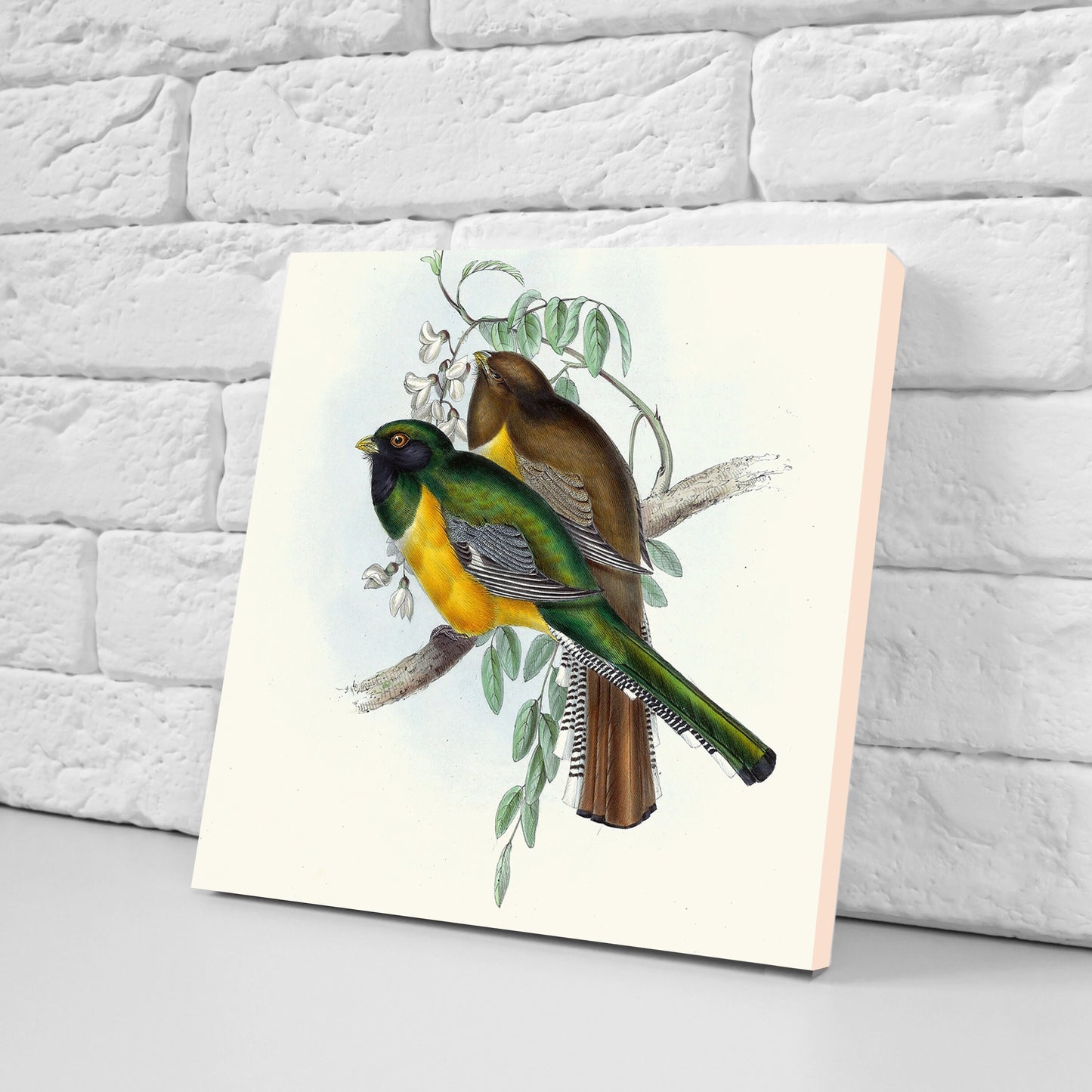 Vintage Bird Print Ceramic Tiles - Set of 3 Ceramic Decor Tiles - Kitchen Tiles, Bathroom Tiles, Botanical wall art, Bird illustration