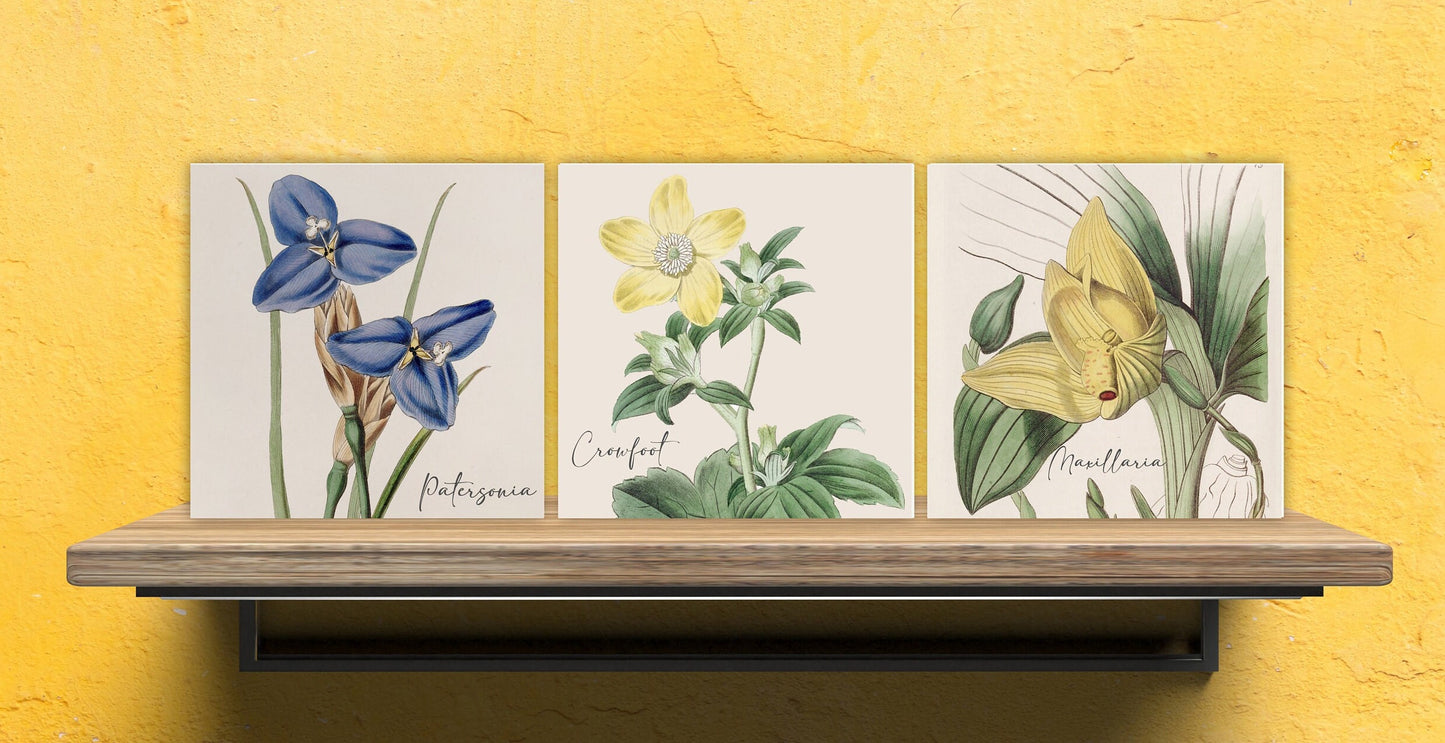 Vintage Botanical Print Ceramic Tiles - Set of 3 Ceramic Decor Tiles - Kitchen Backsplash Tiles, Bathroom Tiles, Botanical wall art