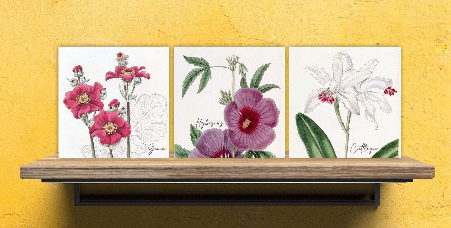 Vintage Botanical Print Ceramic Tiles - Set of 3 Ceramic Decor Tiles - Kitchen Backsplash Tiles, Bathroom Tiles, Botanical wall art