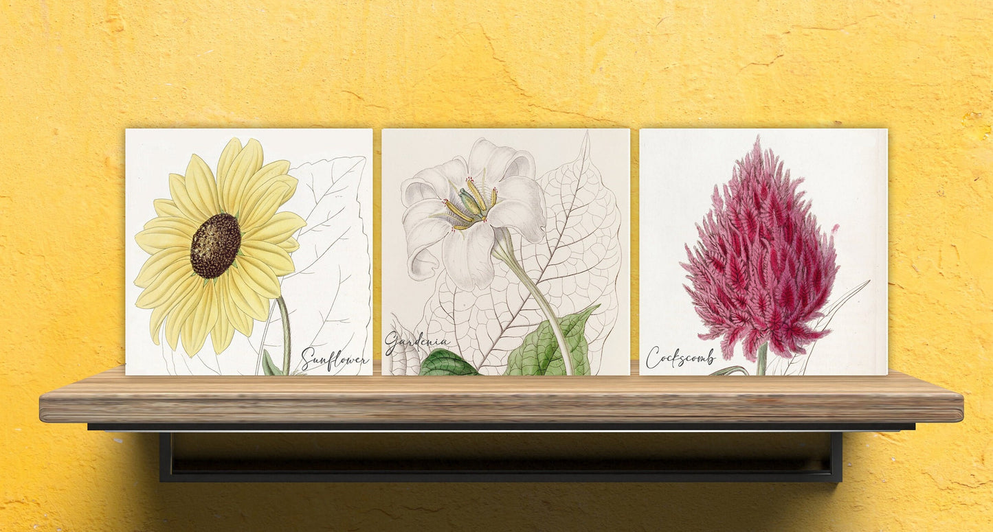 Vintage Botanical Print Ceramic Tiles - Set of 3 Ceramic Decor Tiles - Kitchen Backsplash Tiles, Bathroom Tiles, Botanical wall art
