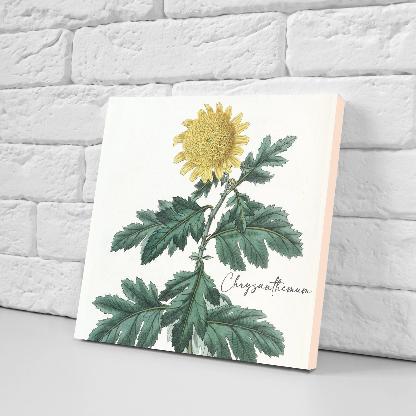 Vintage Botanical Print Ceramic Tiles - Set of 3 Ceramic Decor Tiles - Kitchen Backsplash Tiles, Bathroom Tiles, Botanical wall art