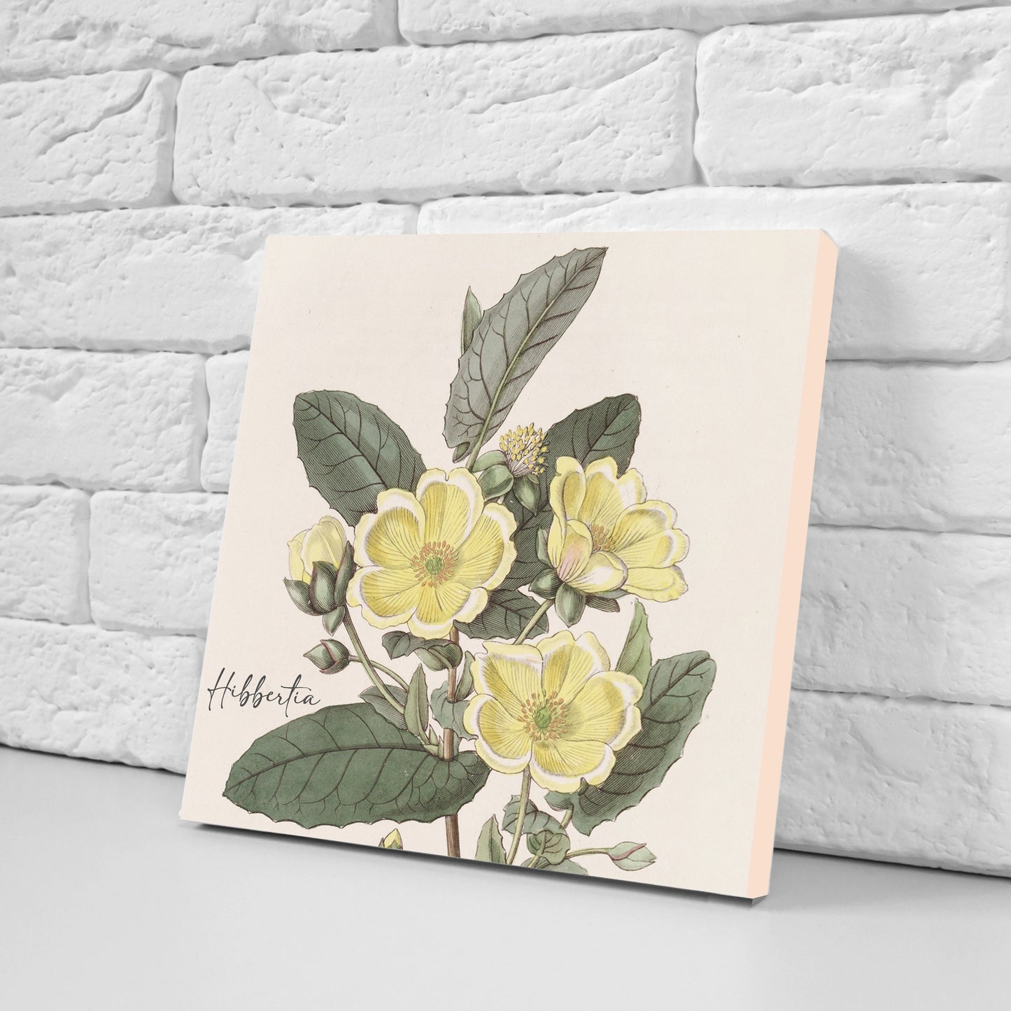 Vintage Botanical Print Ceramic Tiles - Set of 3 Ceramic Decor Tiles - Kitchen Backsplash Tiles, Bathroom Tiles, Botanical wall art