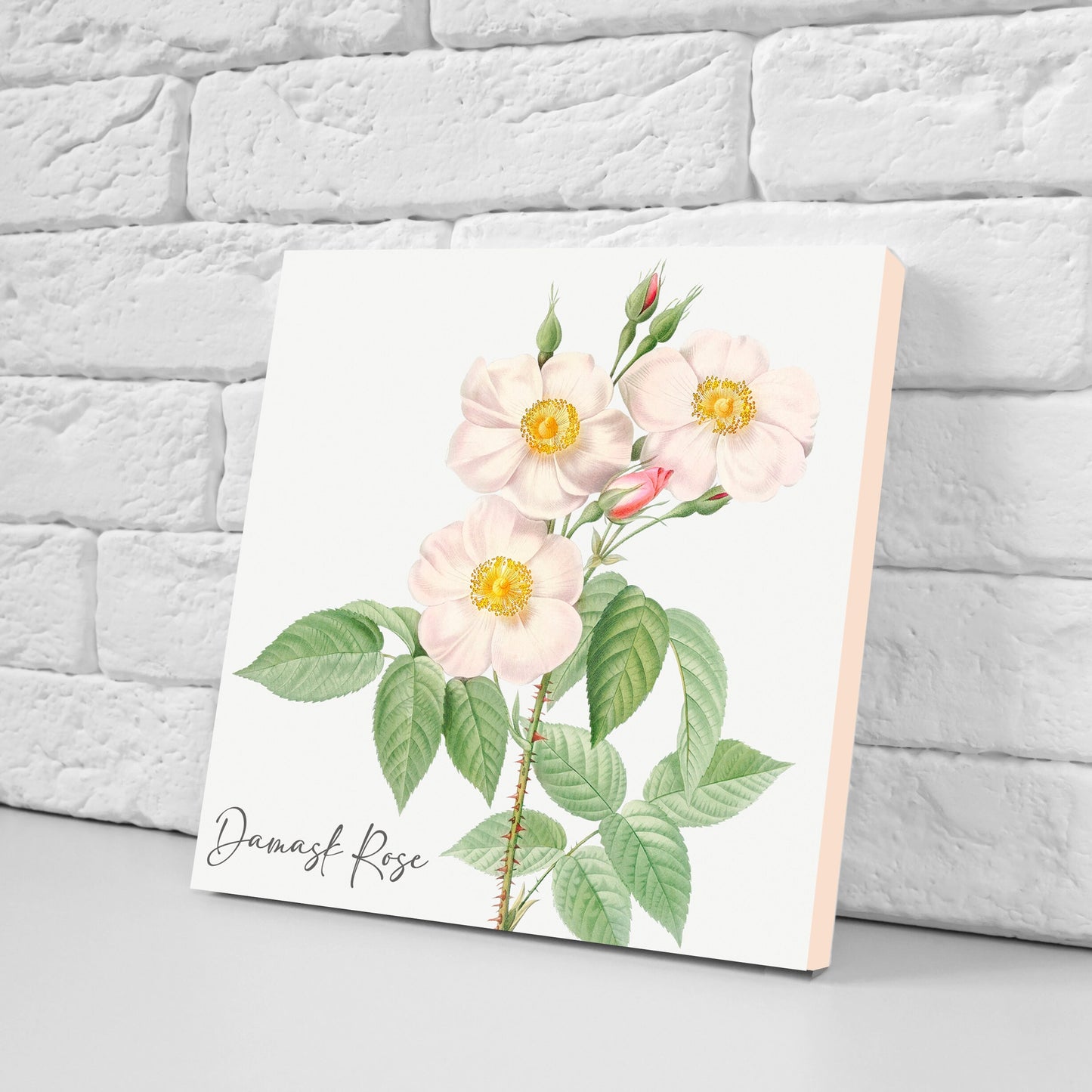 Vintage Botanical Print Ceramic Tiles - Set of 3 Ceramic Decor Tiles - Kitchen Backsplash Tiles, Bathroom Tiles, Botanical wall art