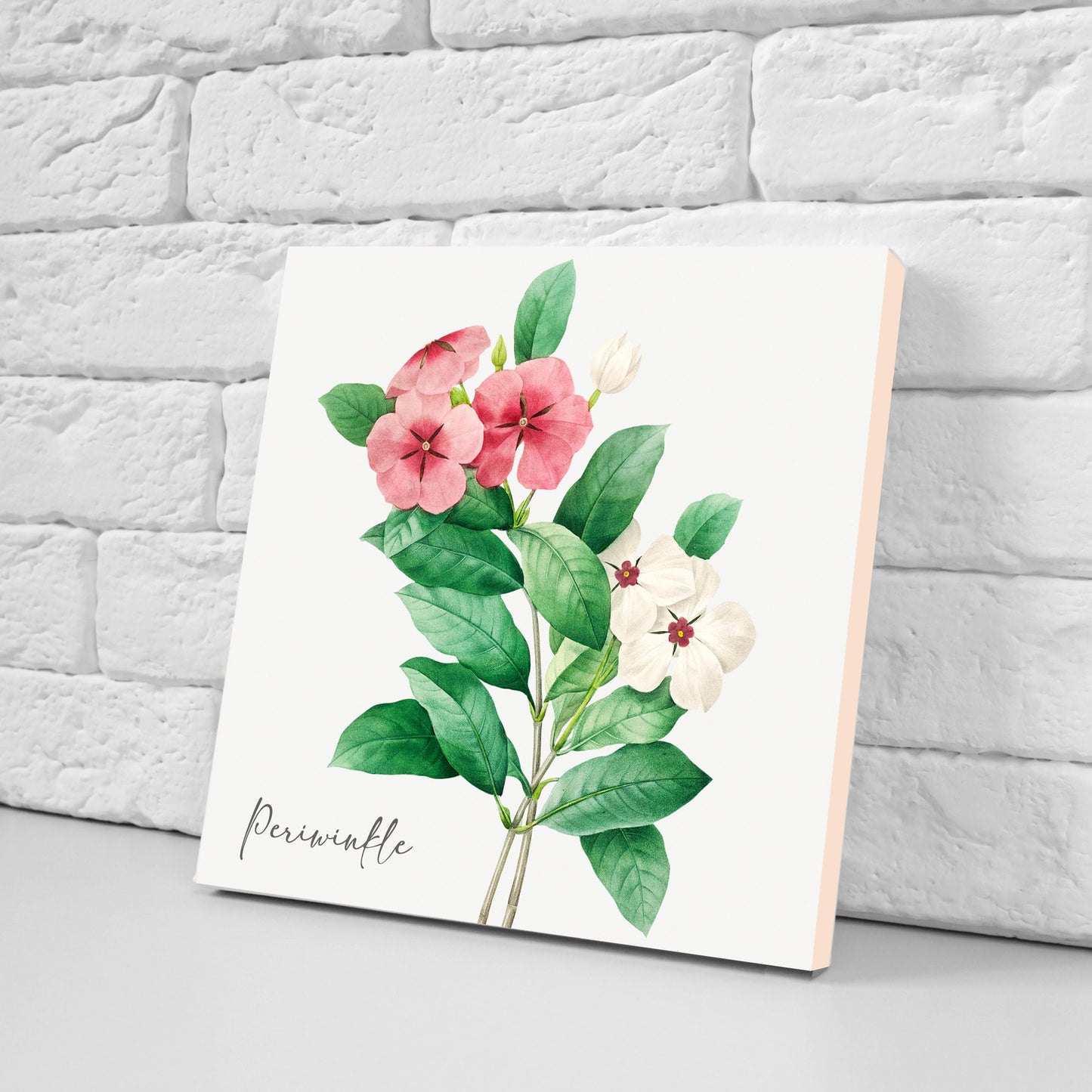 Vintage Botanical Print Ceramic Tiles - Set of 3 Ceramic Decor Tiles - Kitchen Backsplash Tiles, Bathroom Tiles, Botanical wall art