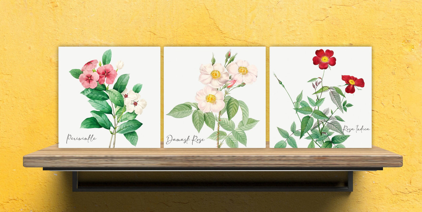 Vintage Botanical Print Ceramic Tiles - Set of 3 Ceramic Decor Tiles - Kitchen Backsplash Tiles, Bathroom Tiles, Botanical wall art