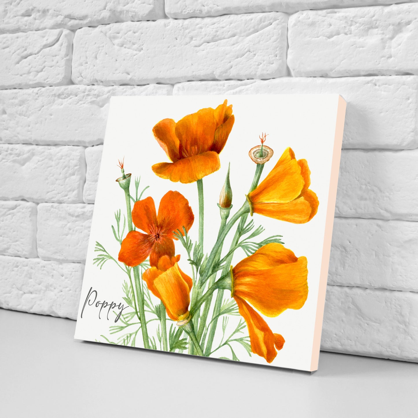 Vintage Botanical Print Ceramic Tiles - Set of 3 Ceramic Decor Tiles - Kitchen Backsplash Tiles, Bathroom Tiles, Botanical wall art