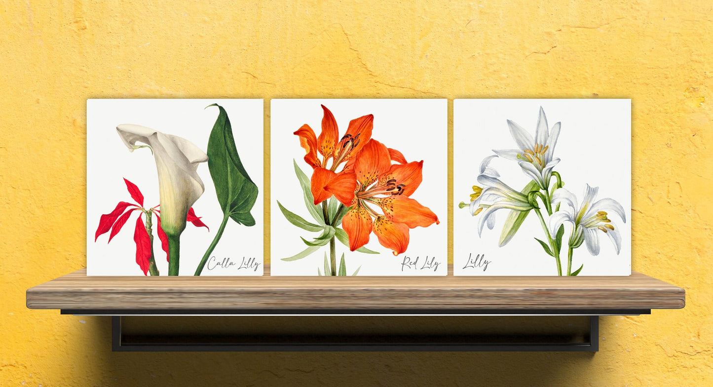 Vintage Botanical Print Ceramic Tiles - Set of 3 Ceramic Decor Tiles - Kitchen Backsplash Tiles, Bathroom Tiles, Botanical wall art