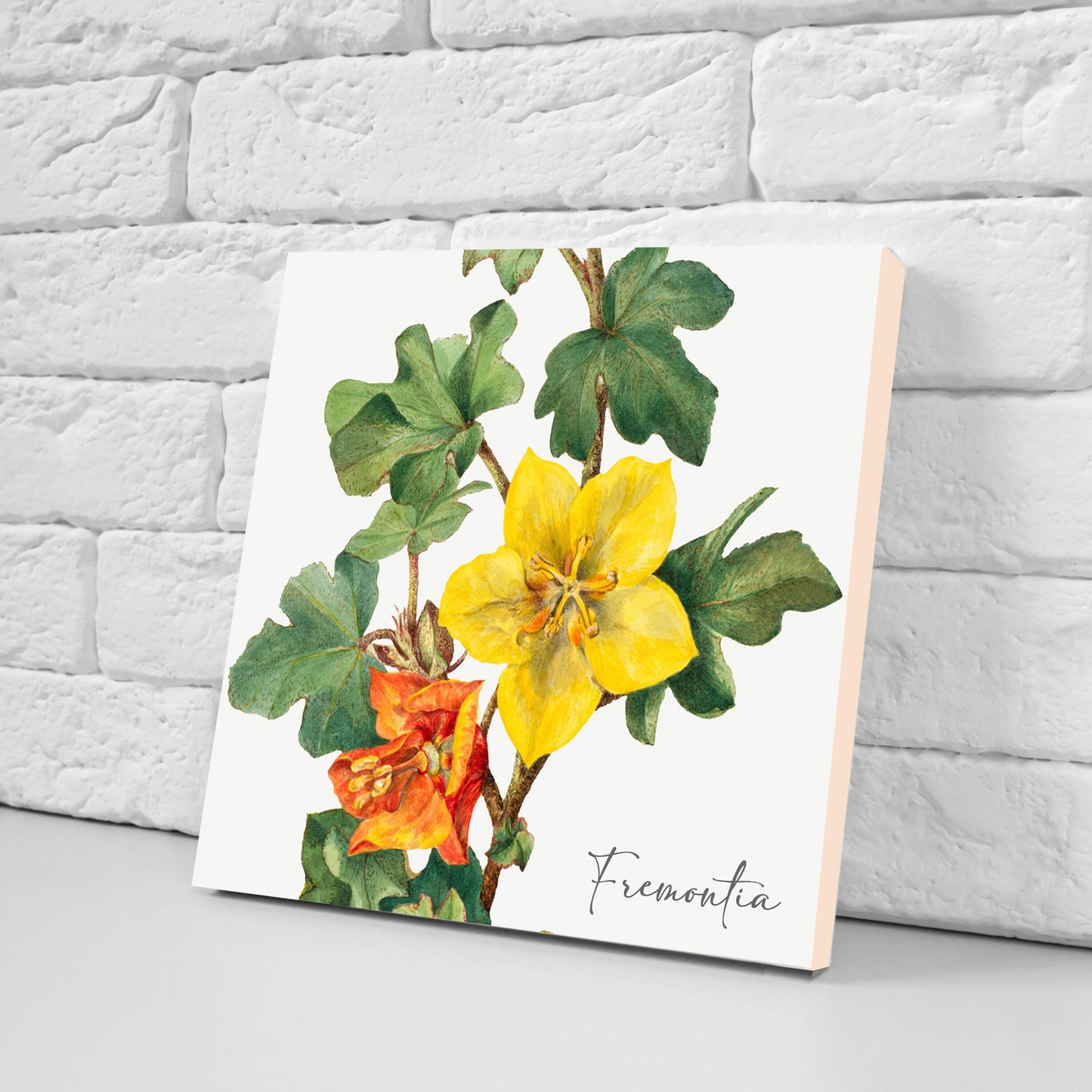 Vintage Botanical Print Ceramic Tiles - Set of 3 Ceramic Decor Tiles - Kitchen Backsplash Tiles, Bathroom Tiles, Botanical wall art
