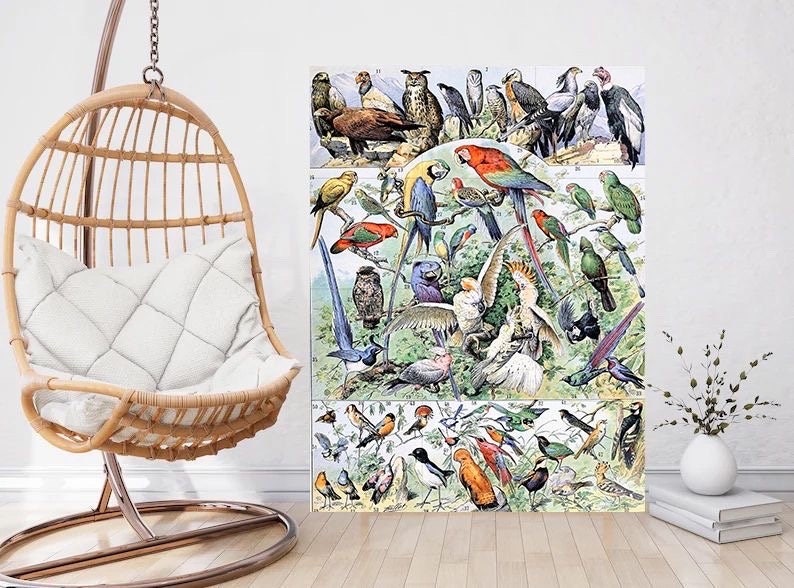 Tile Mural/Mosaic Ceramic Panel of Birds - Adolphe Millot - Vintage Print - Bird Wall Art - Adolphe Millot Vintage Illustration - Bird Mural