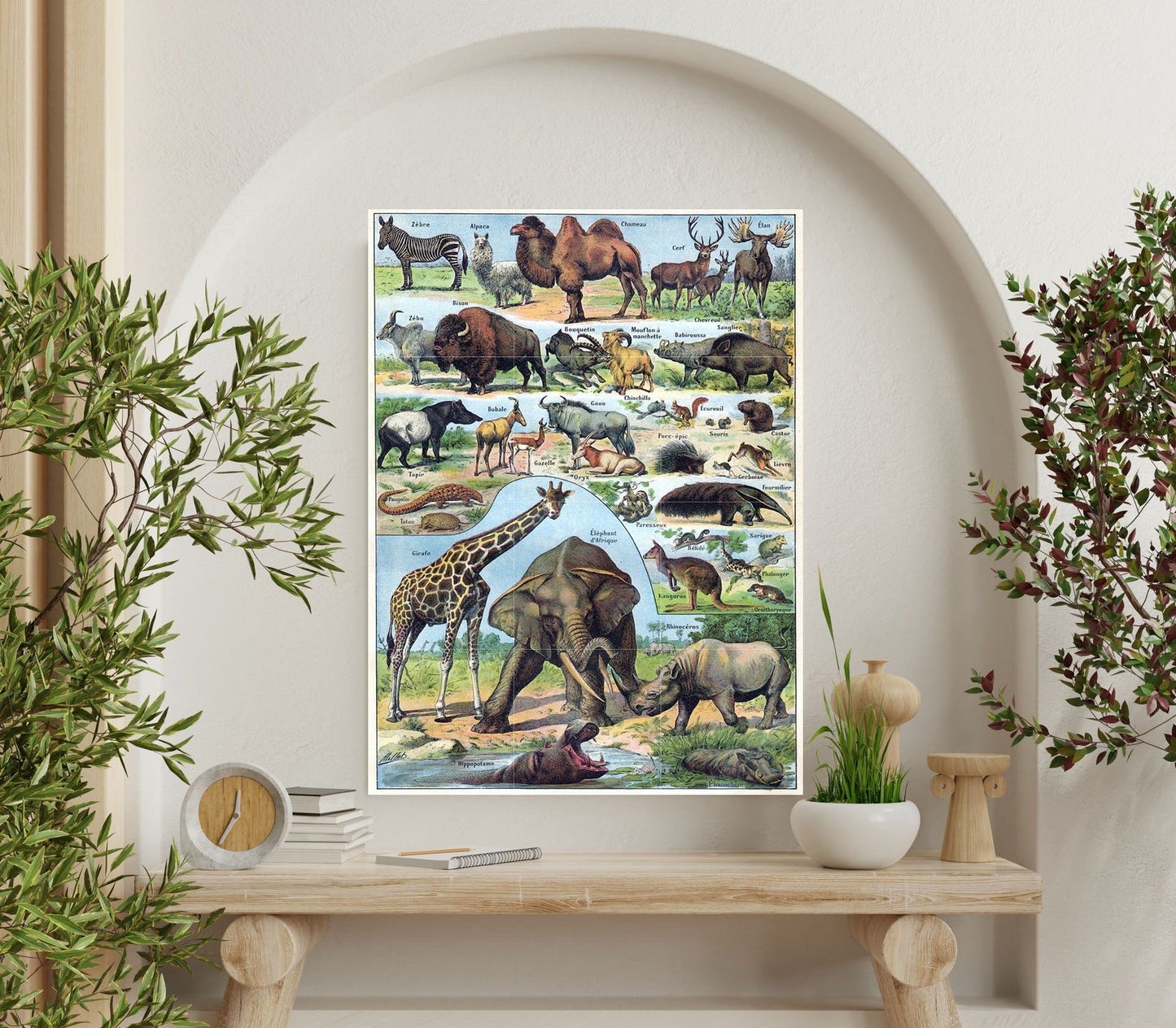 Tile Mural/Mosaic Ceramic Panel of Mammals - Adolphe Millot - Vintage Print - Animal Wall Art - Adolphe Millot Vintage Illustration