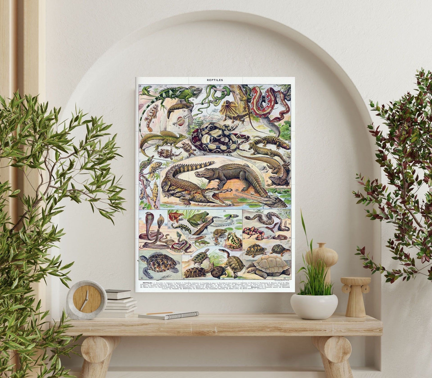 Tile Mural/Mosaic Ceramic Panel of Reptiles - Adolphe Millot - Vintage Reptile Print - Animal Wall Art - Adolphe Millot Vintage Illustration