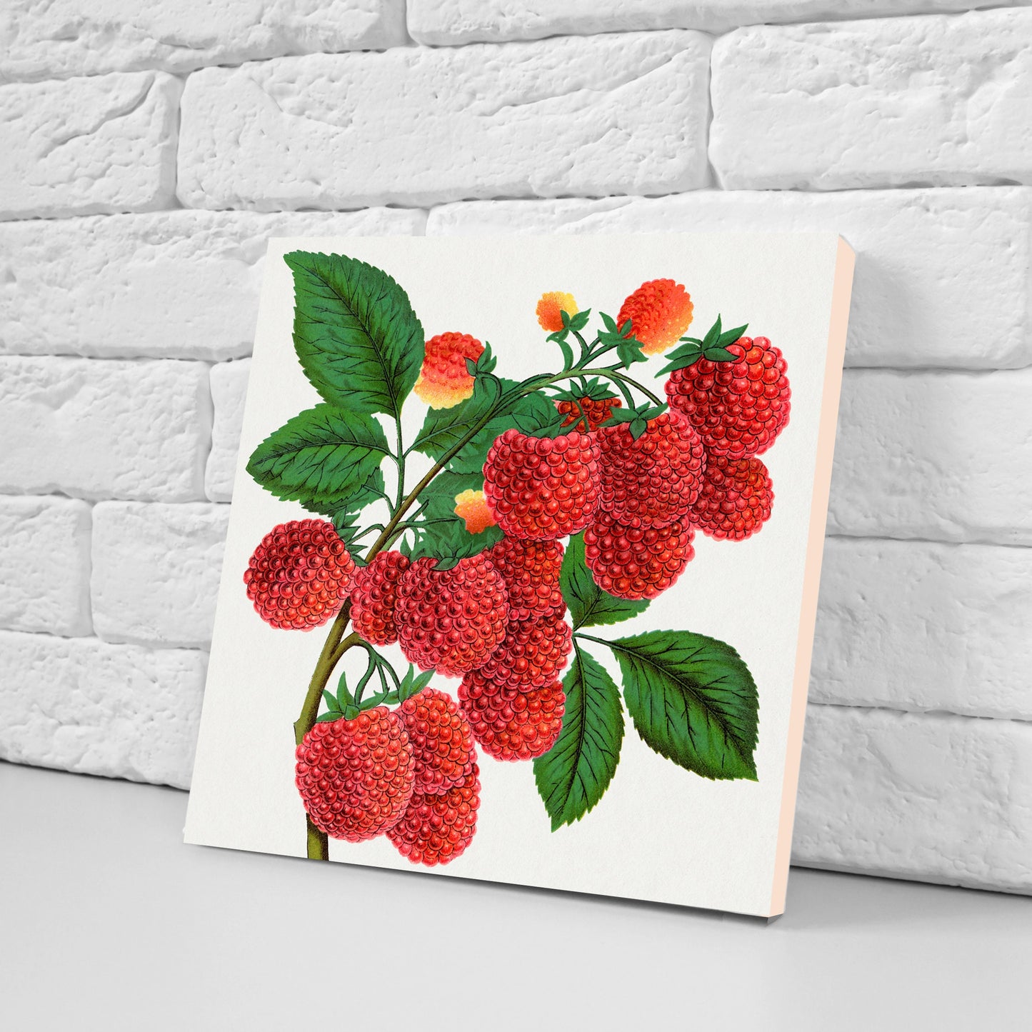 Vintage Fruit Print Ceramic Tiles - Set of 3 Ceramic Decor Tiles - Kitchen Backsplash Tiles, Bathroom Tiles, Fruit illustration print
