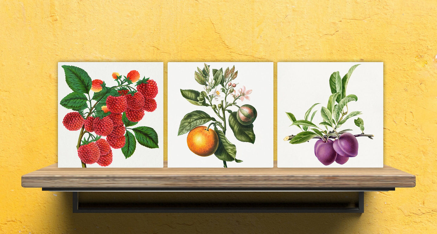 Vintage Fruit Print Ceramic Tiles - Set of 3 Ceramic Decor Tiles - Kitchen Backsplash Tiles, Bathroom Tiles, Fruit illustration print