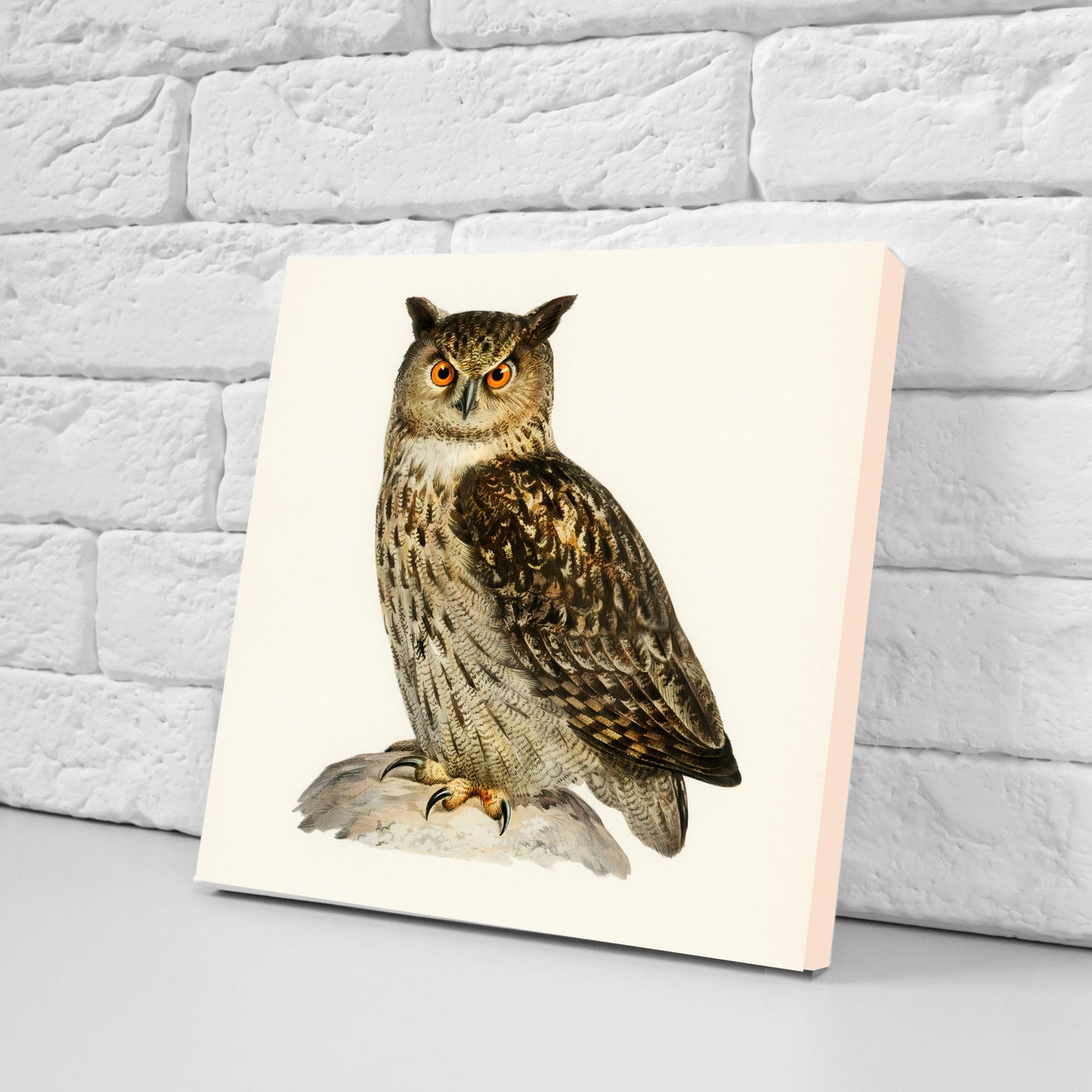 Vintage Owl Print Ceramic Tiles - Set of 3 Ceramic Decor Tiles - Kitchen Backsplash Tiles, Bathroom Tiles, Bird wall art, Owl illustration