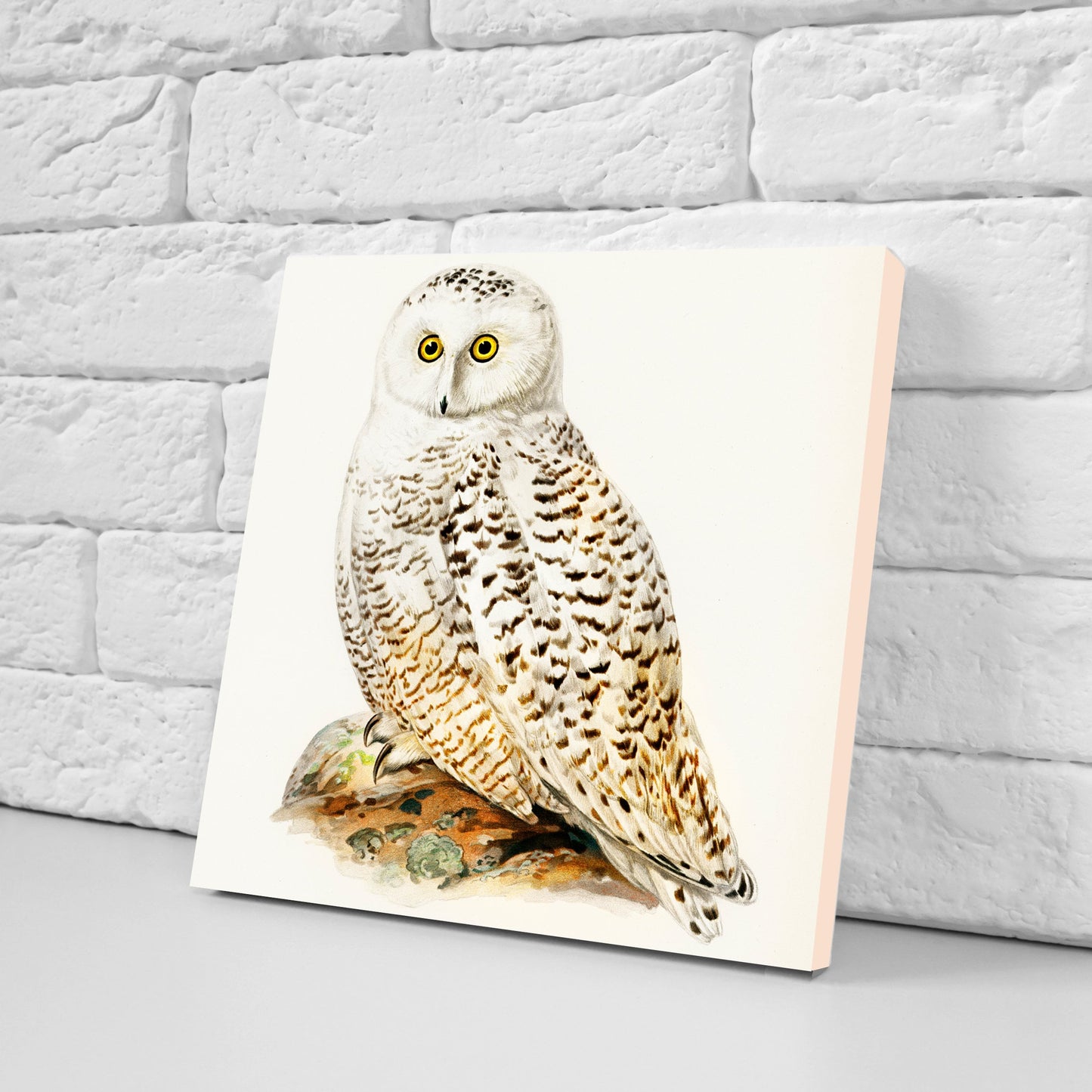 Vintage Owl Print Ceramic Tiles - Set of 3 Ceramic Decor Tiles - Kitchen Backsplash Tiles, Bathroom Tiles, Bird wall art, Owl illustration