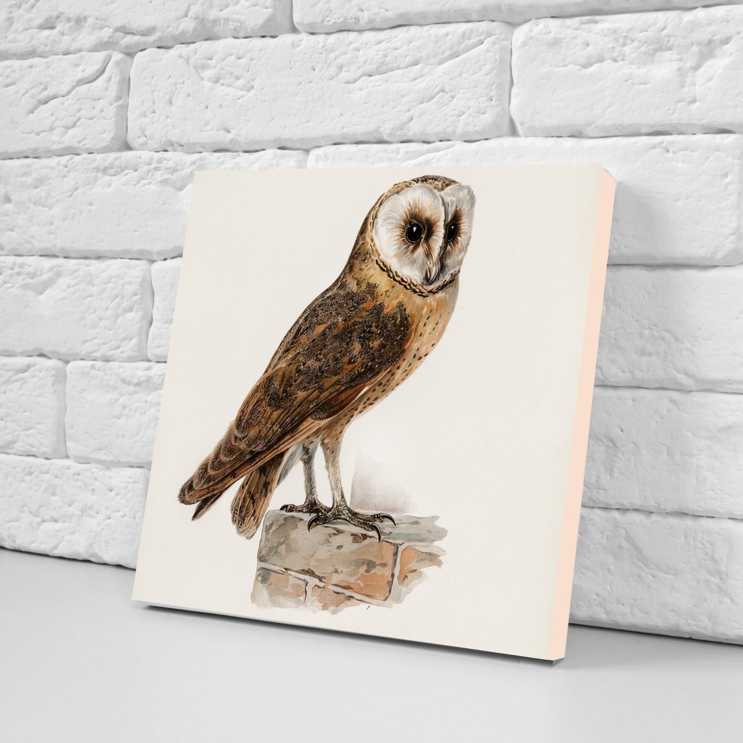 Vintage Owl Print Ceramic Tiles - Set of 3 Ceramic Decor Tiles - Kitchen Backsplash Tiles, Bathroom Tiles, Bird wall art, Owl illustration