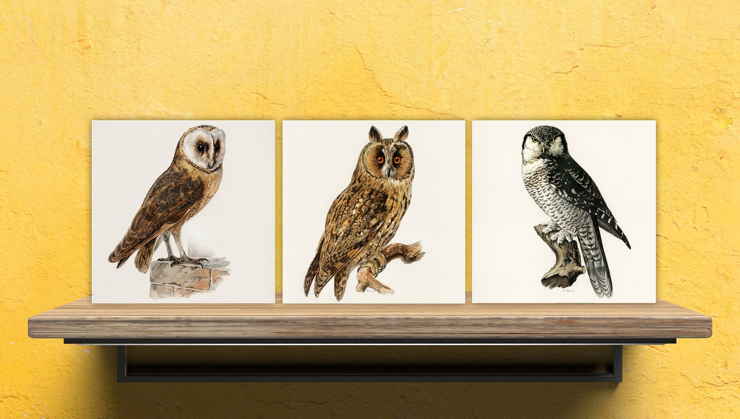 Vintage Owl Print Ceramic Tiles - Set of 3 Ceramic Decor Tiles - Kitchen Backsplash Tiles, Bathroom Tiles, Bird wall art, Owl illustration