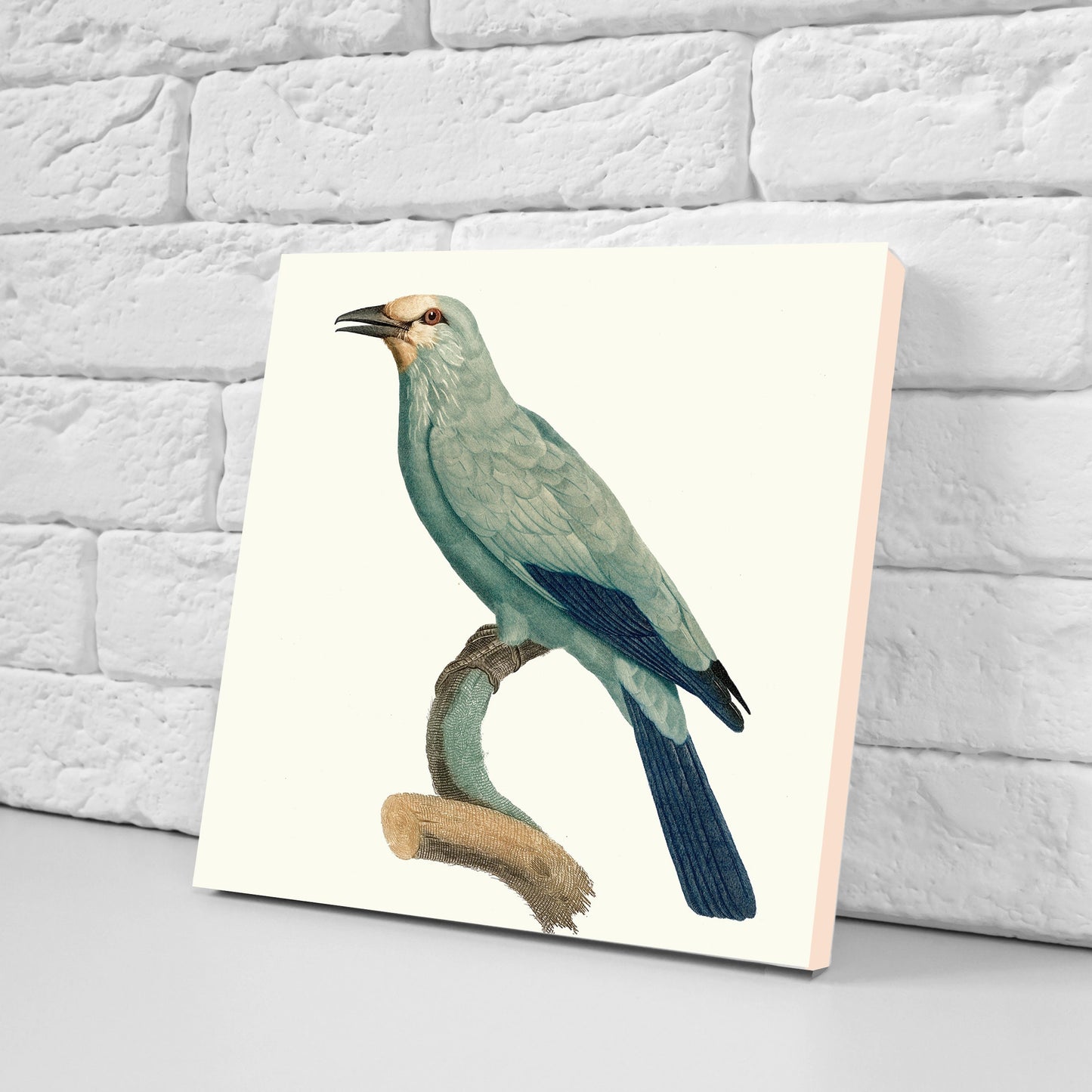 Vintage Bird Print Ceramic Tiles - Set of 3 Ceramic Decor Tiles - Kitchen Tiles, Bathroom Tiles, Botanical wall art, Bird illustration