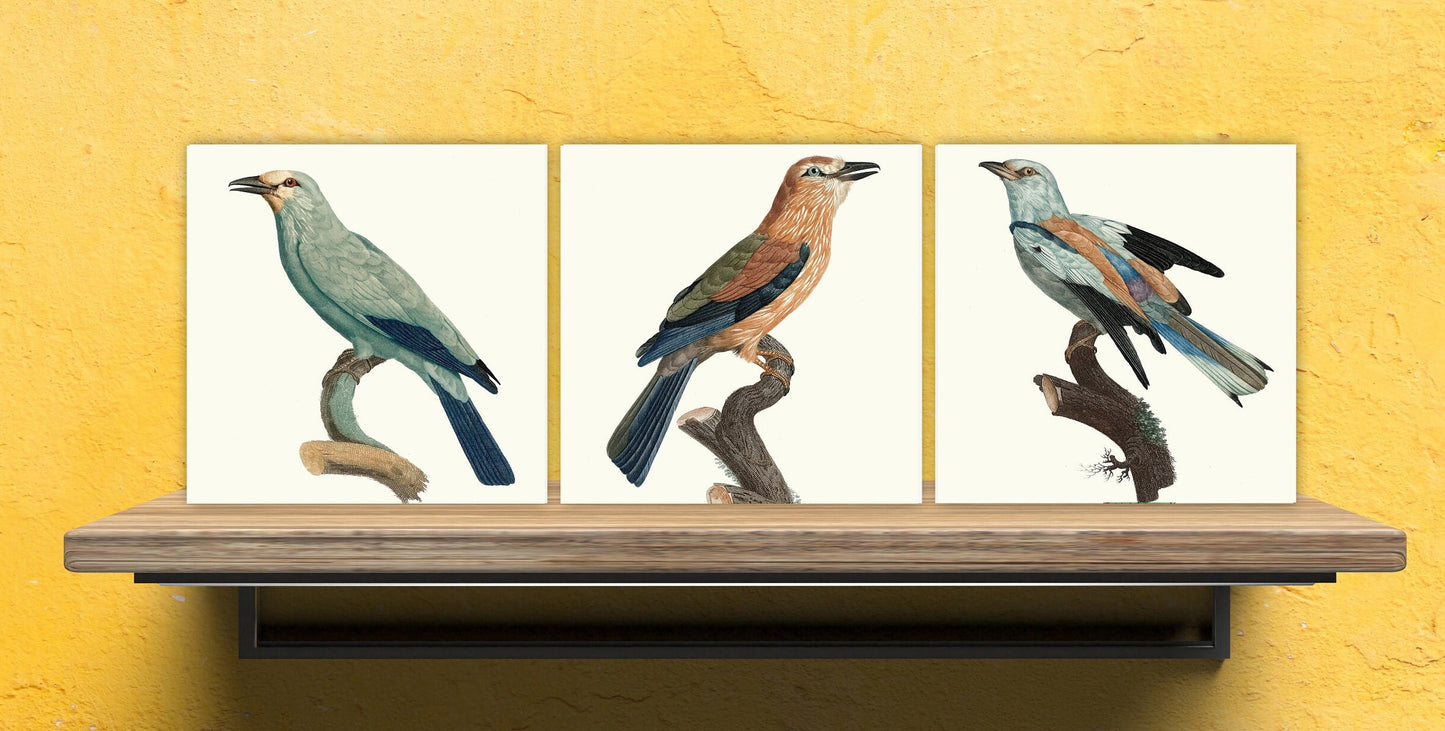 Vintage Bird Print Ceramic Tiles - Set of 3 Ceramic Decor Tiles - Kitchen Tiles, Bathroom Tiles, Botanical wall art, Bird illustration
