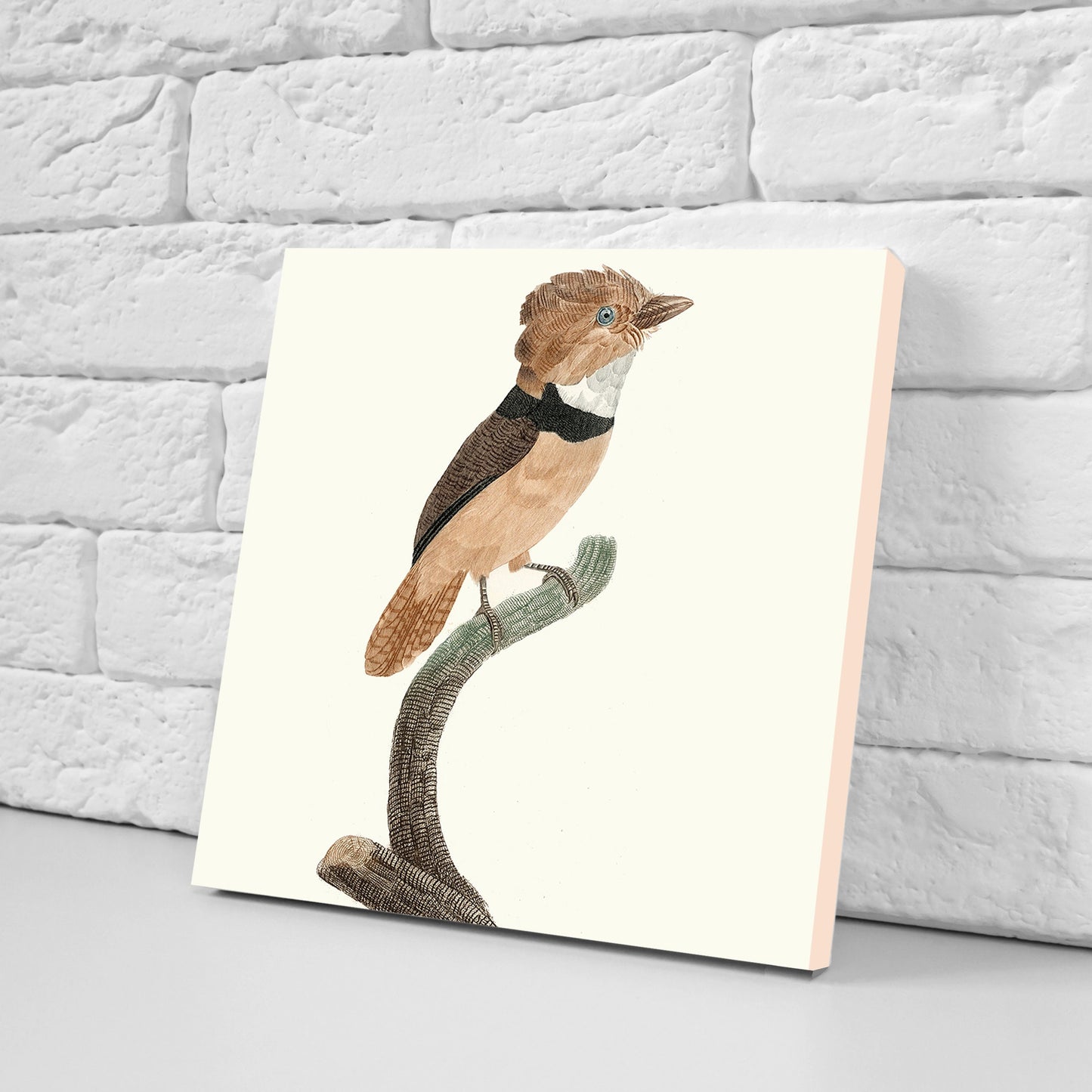 Vintage Bird Print Ceramic Tiles - Set of 3 Ceramic Decor Tiles - Kitchen Tiles, Bathroom Tiles, Botanical wall art, Bird illustration
