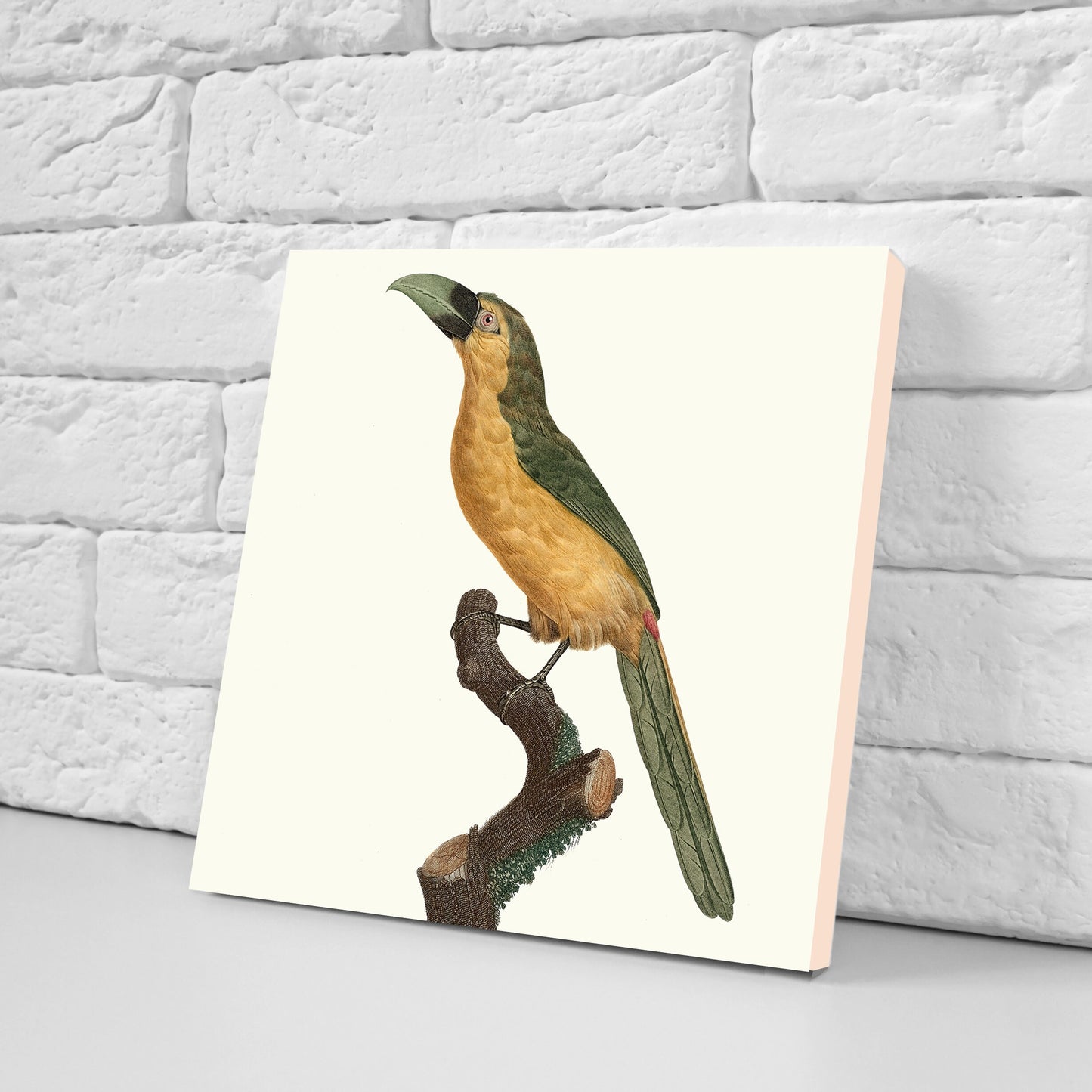 Vintage Bird Print Ceramic Tiles - Set of 3 Ceramic Decor Tiles - Kitchen Tiles, Bathroom Tiles, Botanical wall art, Bird illustration