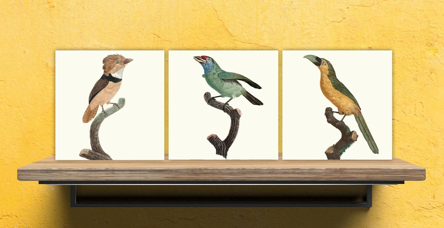 Vintage Bird Print Ceramic Tiles - Set of 3 Ceramic Decor Tiles - Kitchen Tiles, Bathroom Tiles, Botanical wall art, Bird illustration