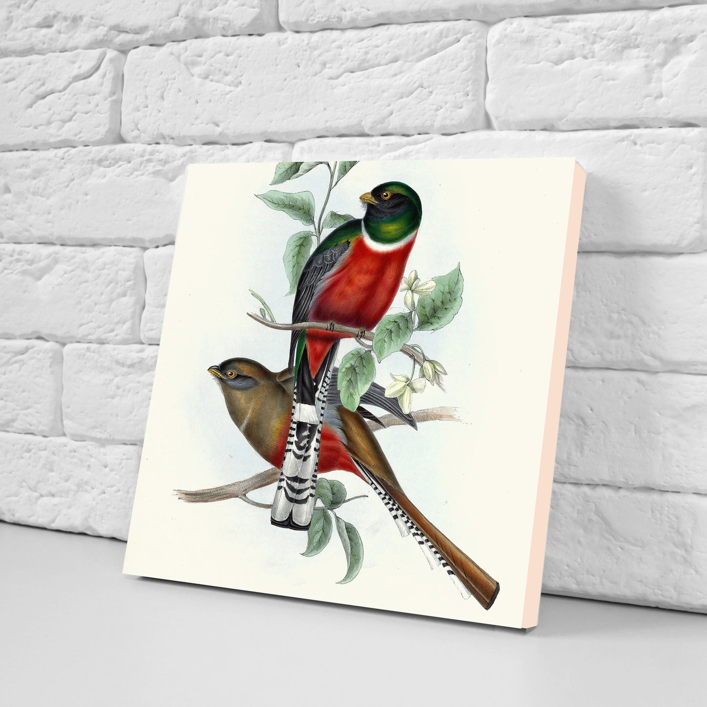 Vintage Bird Print Ceramic Tiles - Set of 3 Ceramic Decor Tiles - Kitchen Tiles, Bathroom Tiles, Botanical wall art, Bird illustration