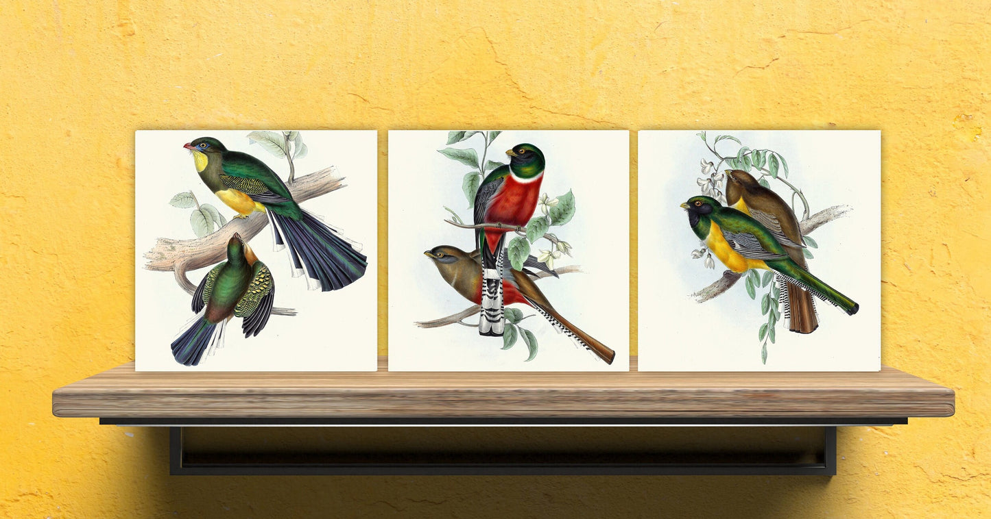 Vintage Bird Print Ceramic Tiles - Set of 3 Ceramic Decor Tiles - Kitchen Tiles, Bathroom Tiles, Botanical wall art, Bird illustration