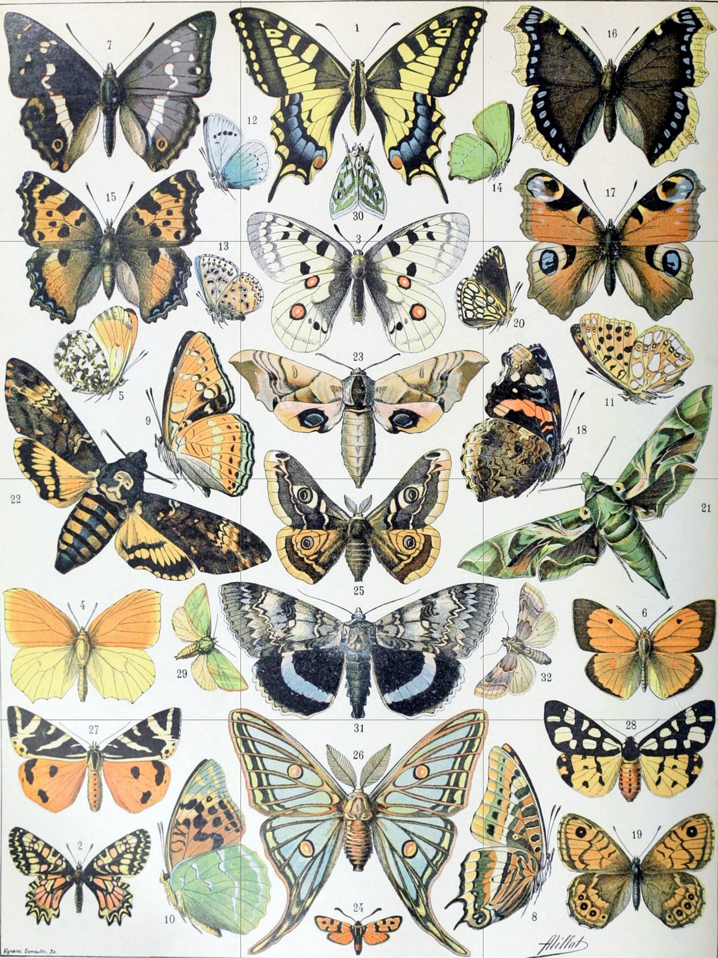 Tile Mural/Mosaic Ceramic Panel of Butterflies -Adolphe Millot -Vintage Insect Print - Butterfly Art - Adolphe Millot Vintage Illustration