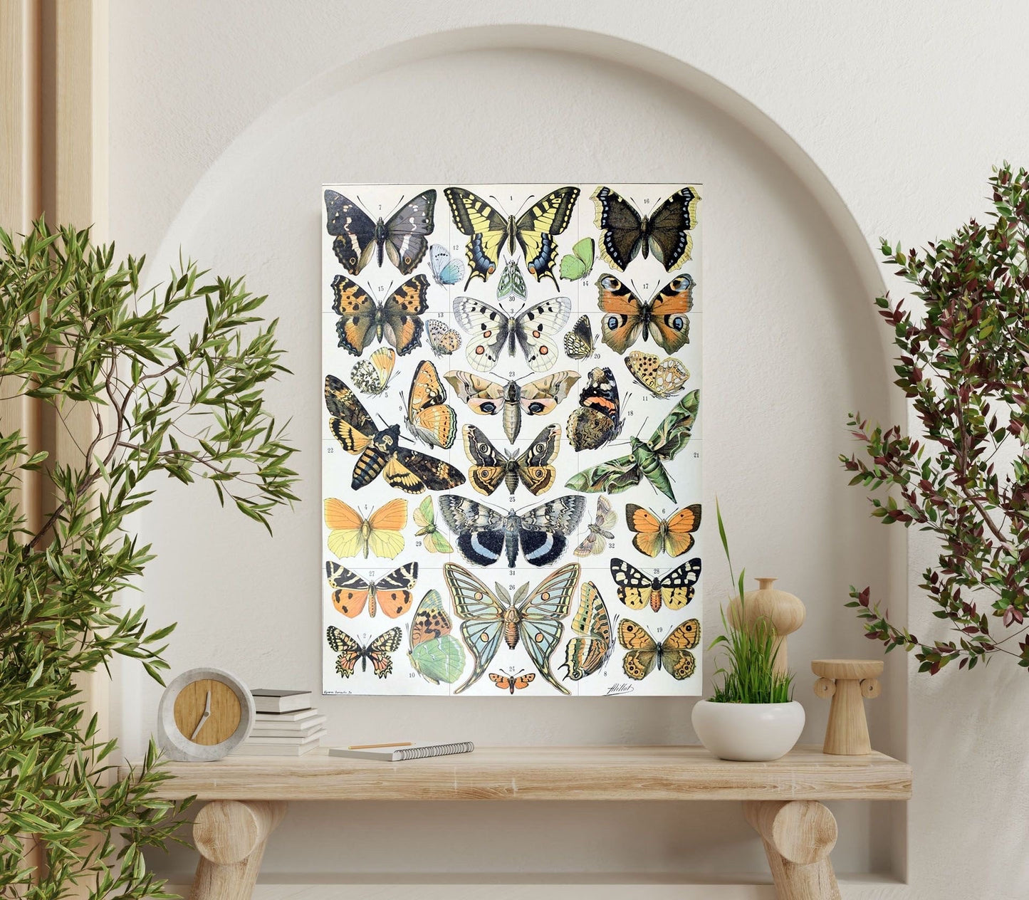 Tile Mural/Mosaic Ceramic Panel of Butterflies -Adolphe Millot -Vintage Insect Print - Butterfly Art - Adolphe Millot Vintage Illustration