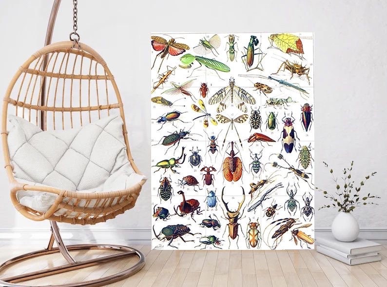 Tile Mural/Mosaic Ceramic Panel of Insects - Adolphe Millot - Vintage Insect Print - Insect Art - Adolphe Millot Print Vintage Illustration