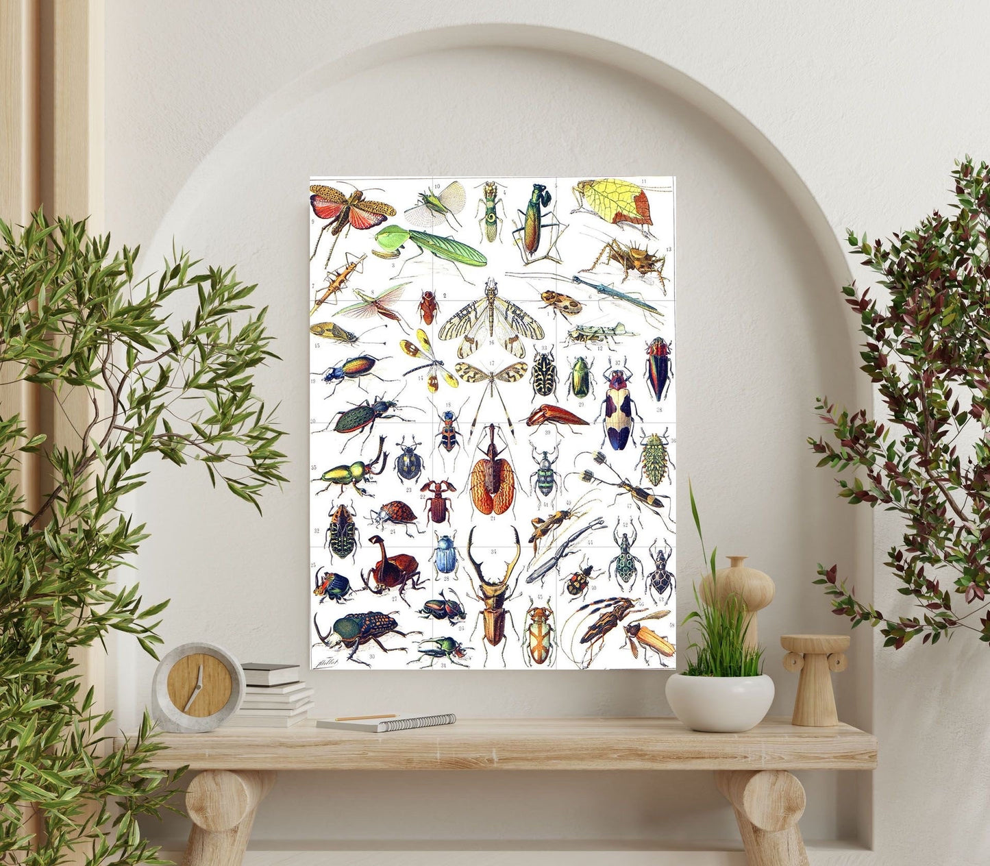 Tile Mural/Mosaic Ceramic Panel of Insects - Adolphe Millot - Vintage Insect Print - Insect Art - Adolphe Millot Print Vintage Illustration