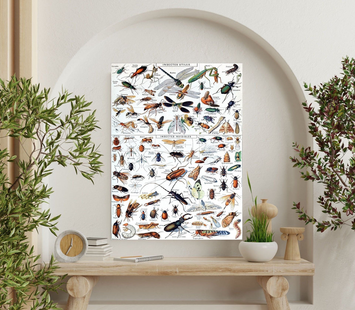 Tile Mural/Mosaic Ceramic Panel of Insects - Adolphe Millot - Vintage Insect Print - Insect Art - Adolphe Millot Print Vintage Illustration
