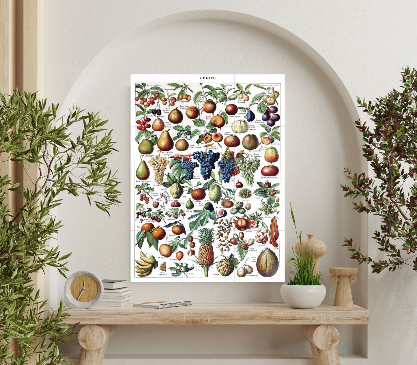 Tile Mural/Mosaic Ceramic Panel of Fruits - Adolphe Millot - Vintage Fruit Print - Fruits Art - Adolphe Millot Print Vintage Illustration