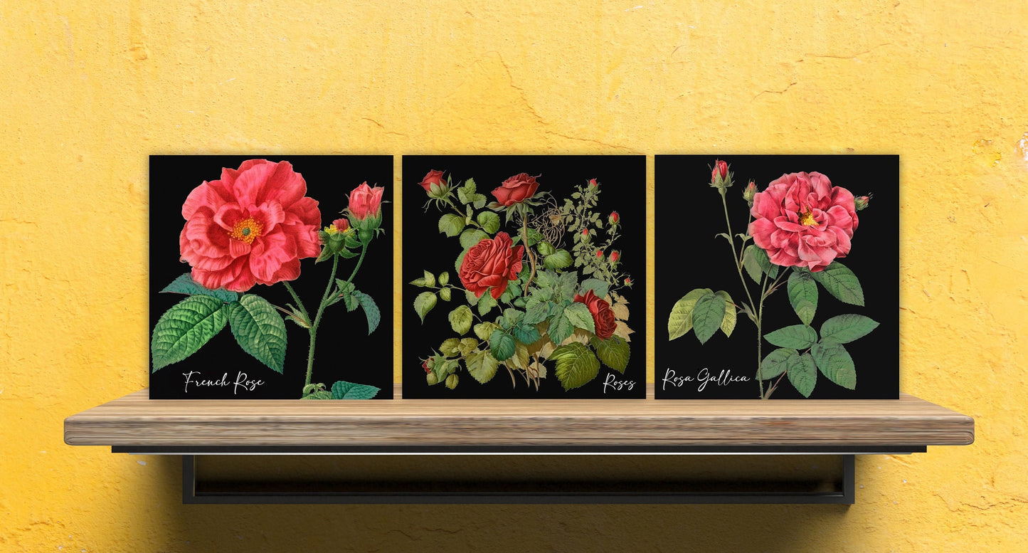 Vintage Botanical Print Ceramic Tiles - Set of 3 Ceramic Decor Tiles - Kitchen Backsplash Tiles, Bathroom Tiles, Botanical wall art