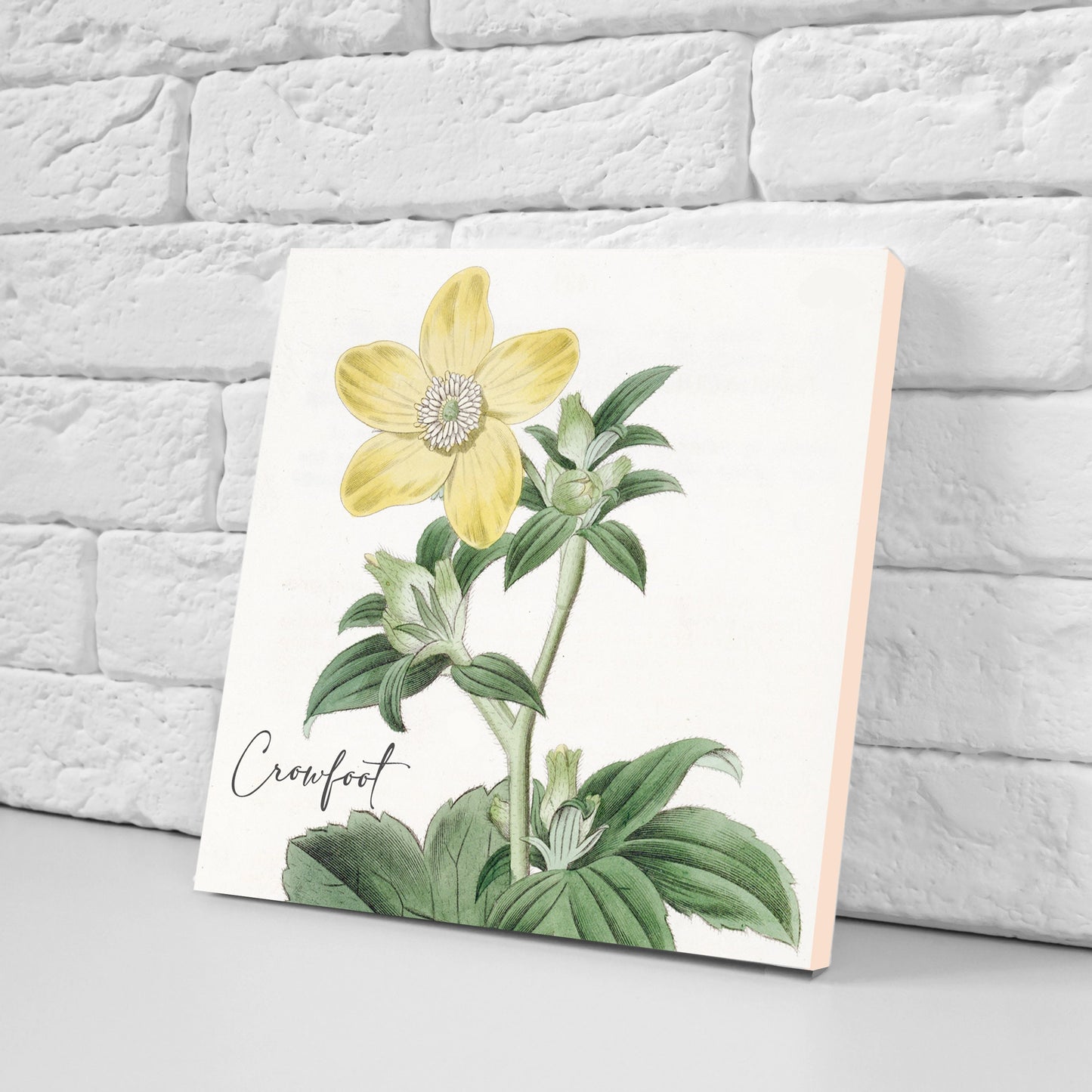 Vintage Botanical Print Ceramic Tiles - Set of 3 Ceramic Decor Tiles - Kitchen Backsplash Tiles, Bathroom Tiles, Botanical wall art