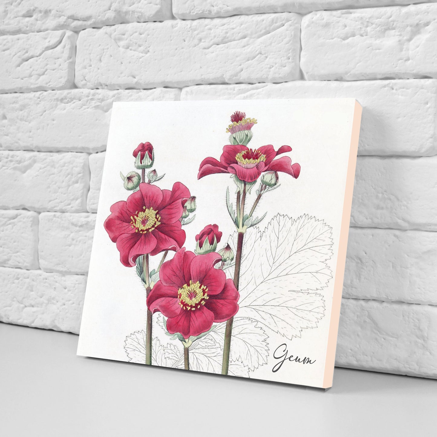 Vintage Botanical Print Ceramic Tiles - Set of 3 Ceramic Decor Tiles - Kitchen Backsplash Tiles, Bathroom Tiles, Botanical wall art