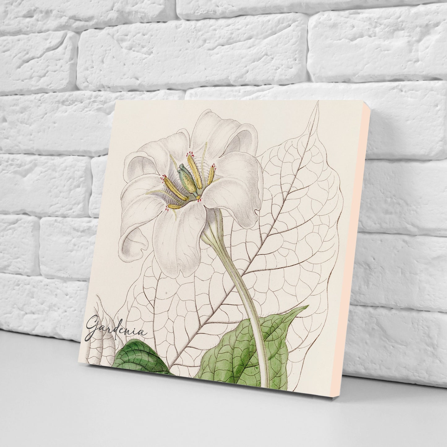 Vintage Botanical Print Ceramic Tiles - Set of 3 Ceramic Decor Tiles - Kitchen Backsplash Tiles, Bathroom Tiles, Botanical wall art
