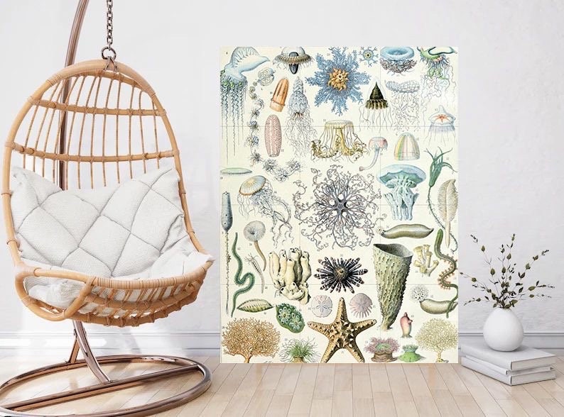 Tile Mural/Mosaic Ceramic Panel of Ocean Life - Adolphe Millot -Vintage Print - Marine Wall Art - Adolphe Millot Print Vintage Illustration