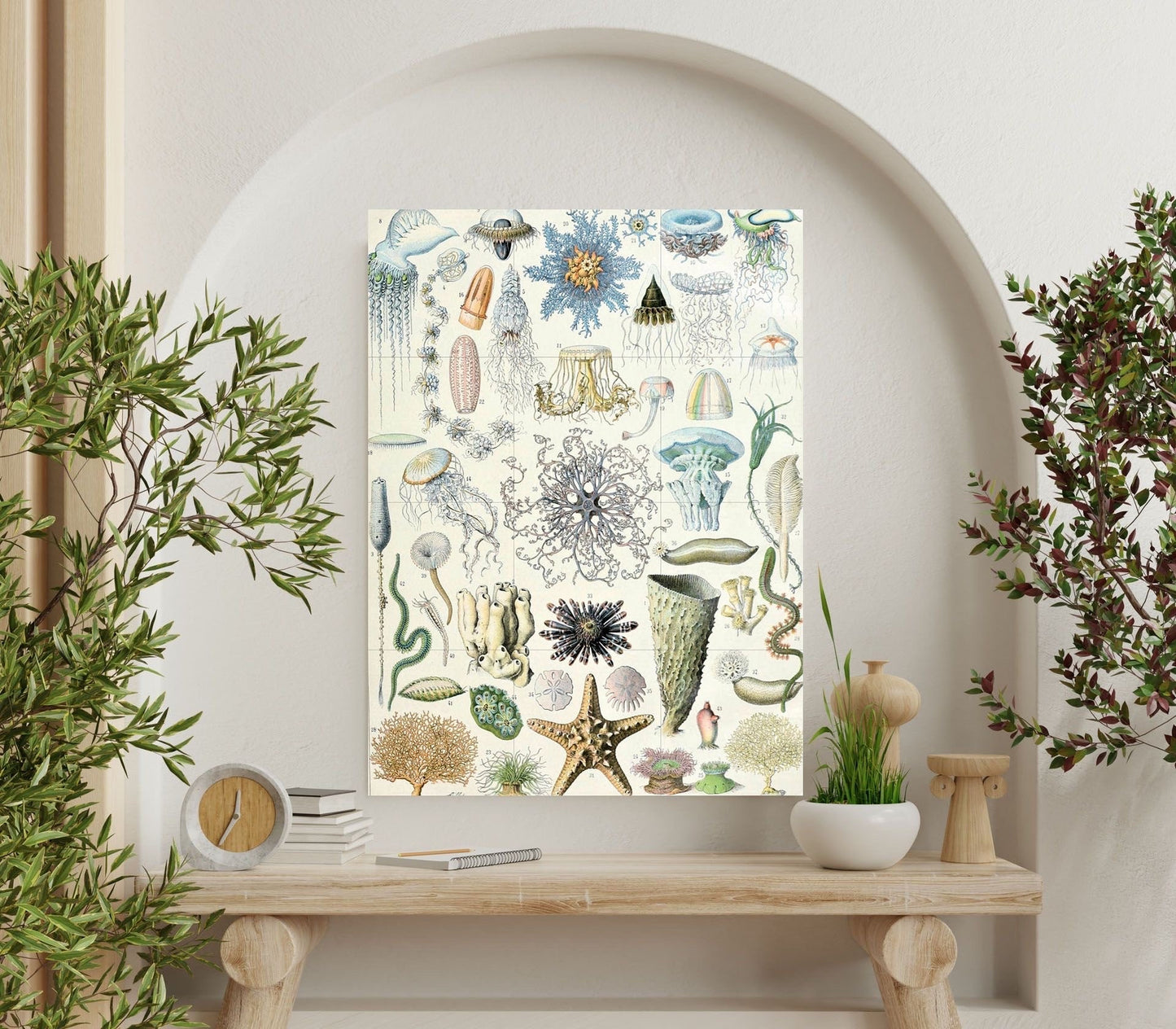 Tile Mural/Mosaic Ceramic Panel of Ocean Life - Adolphe Millot -Vintage Print - Marine Wall Art - Adolphe Millot Print Vintage Illustration