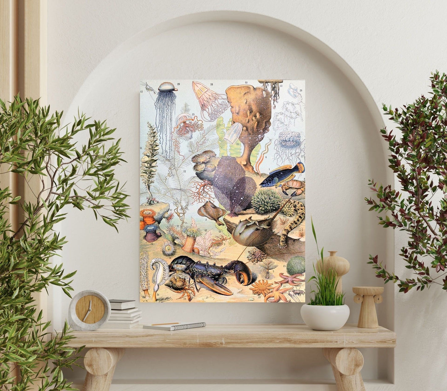 Tile Mural/Mosaic Ceramic Panel of Ocean Life - Adolphe Millot -Vintage Print - Marine Wall Art - Adolphe Millot Print Vintage Illustration
